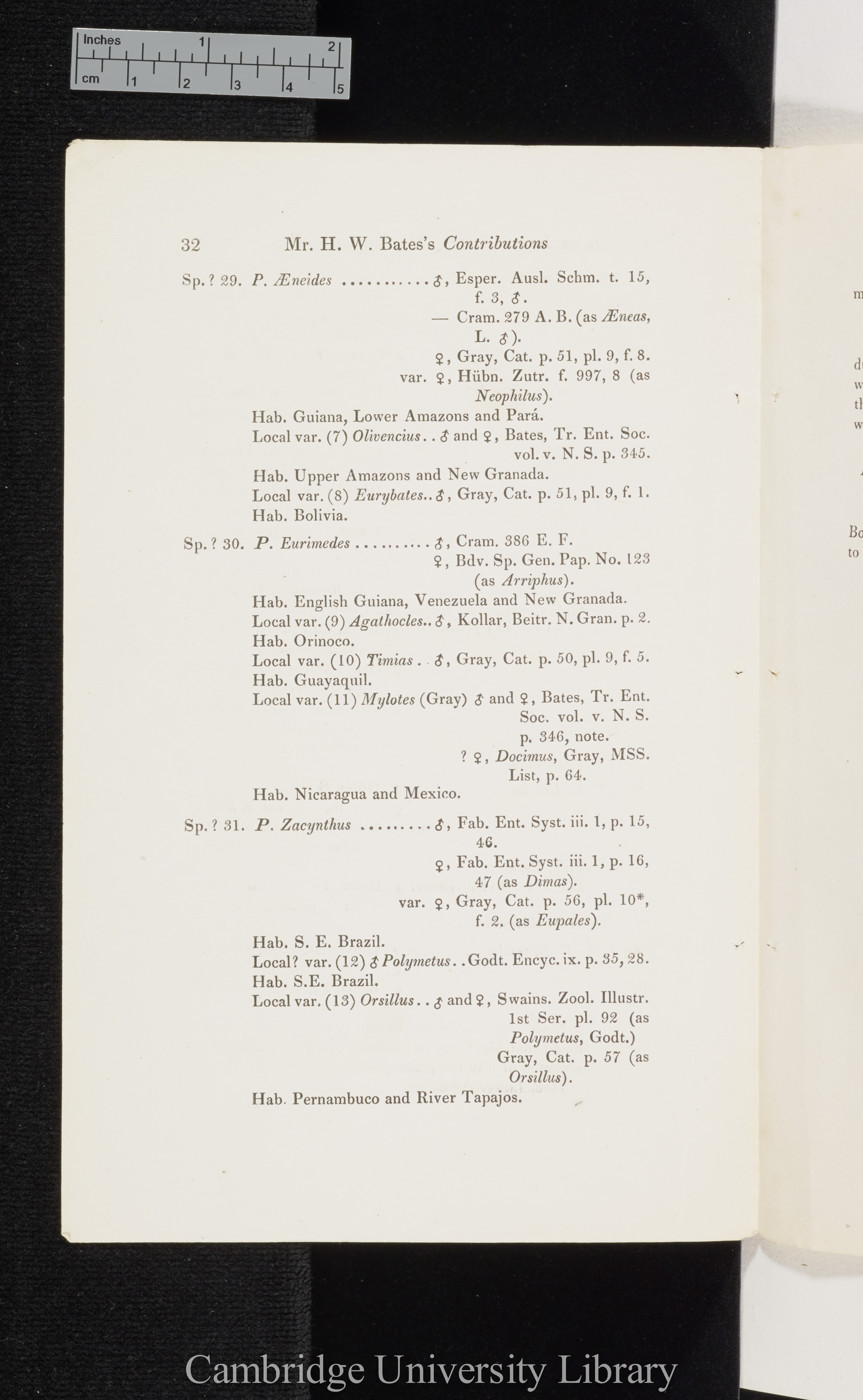 Bates, Henry Walter. Contributions to an insect fauna of the Amazon valley I: Diurnal Lepidoptera &#39;Entomological Society (Transactions)&#39; 2s 5: 335-361 [32]