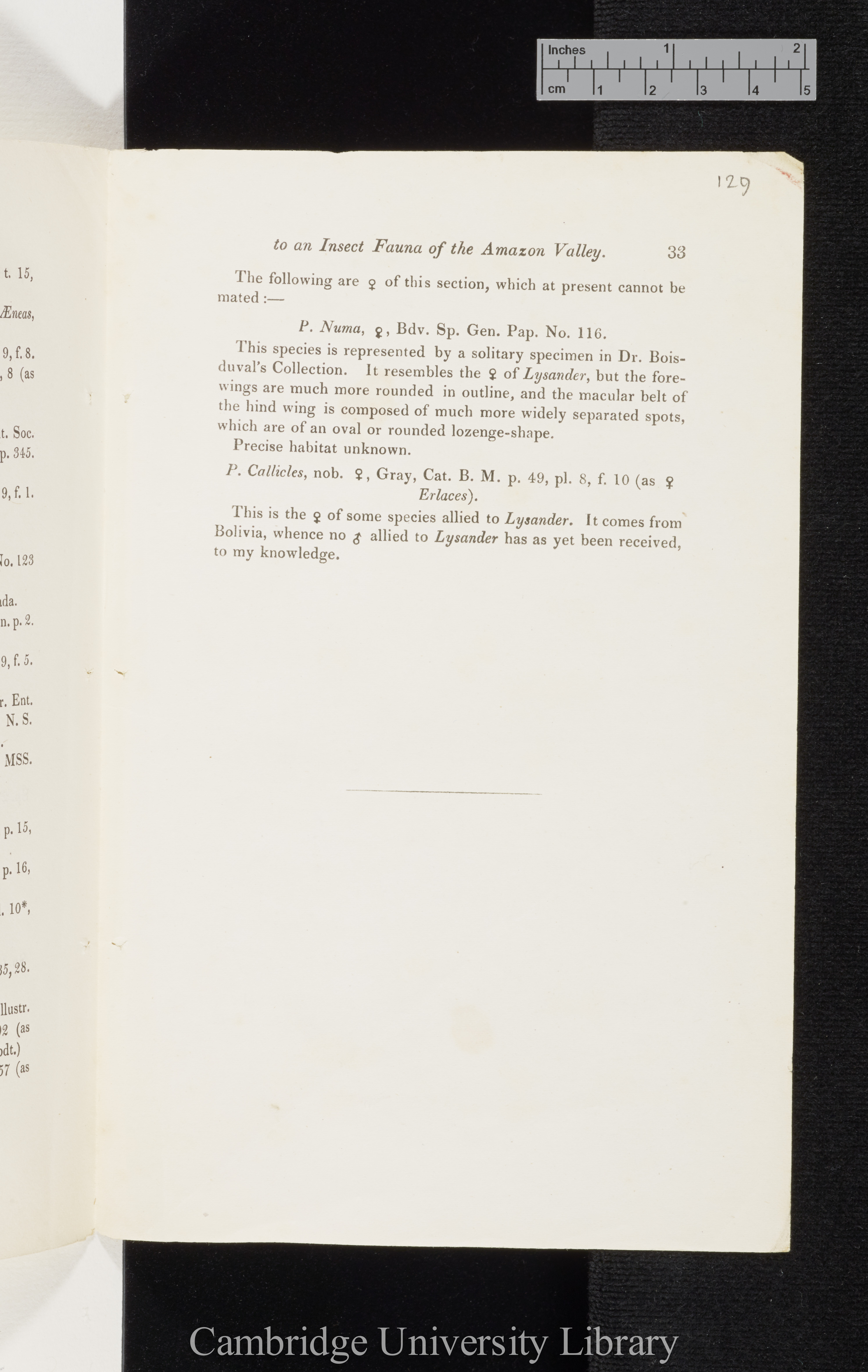 Bates, Henry Walter. Contributions to an insect fauna of the Amazon valley I: Diurnal Lepidoptera &#39;Entomological Society (Transactions)&#39; 2s 5: 335-361 [33]