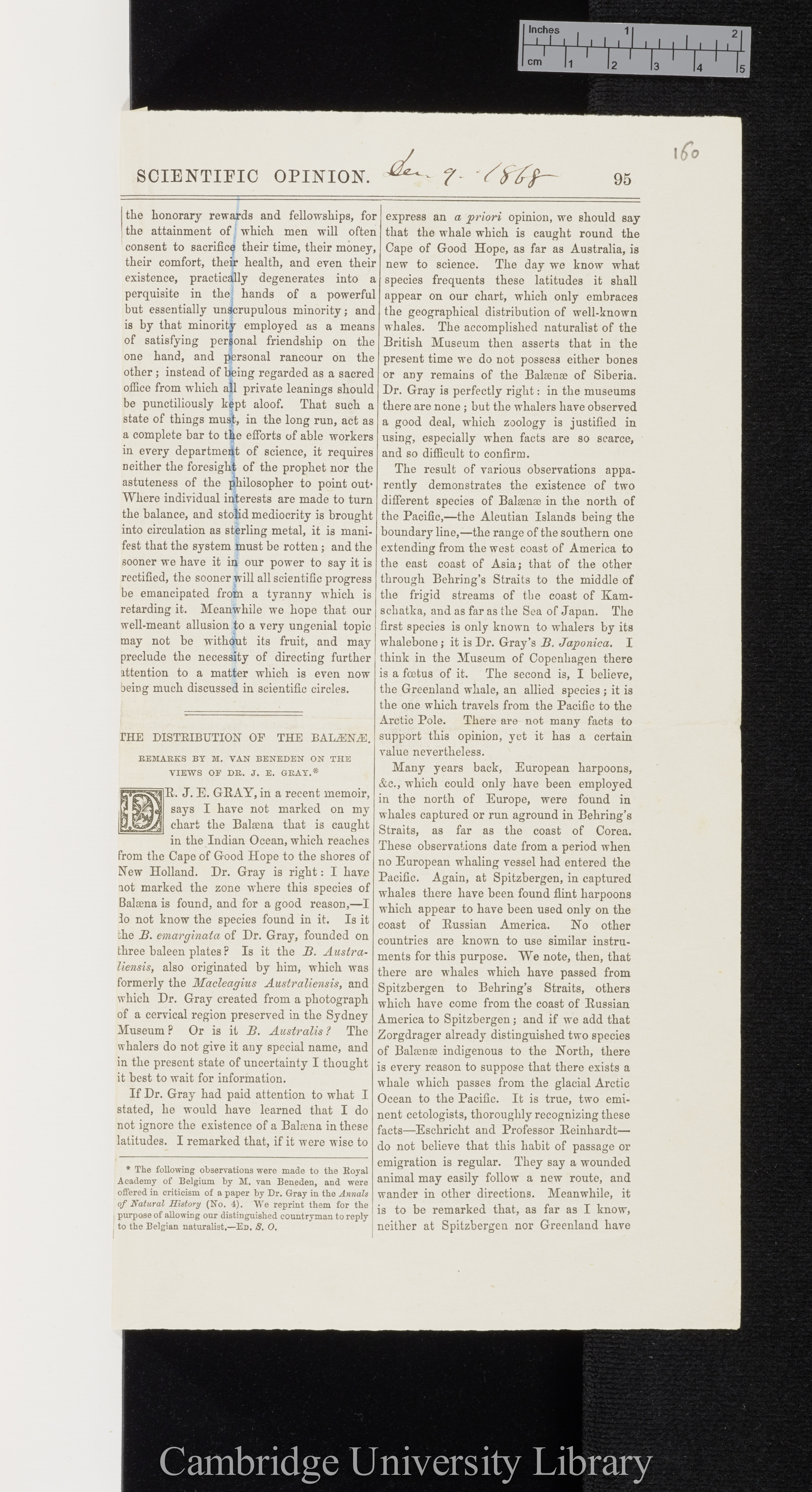 van Beneden, Edouard. The distribution of the Balaenae (remarks on the views of J E Gray) &#39;Scientific Opinion&#39;: 95