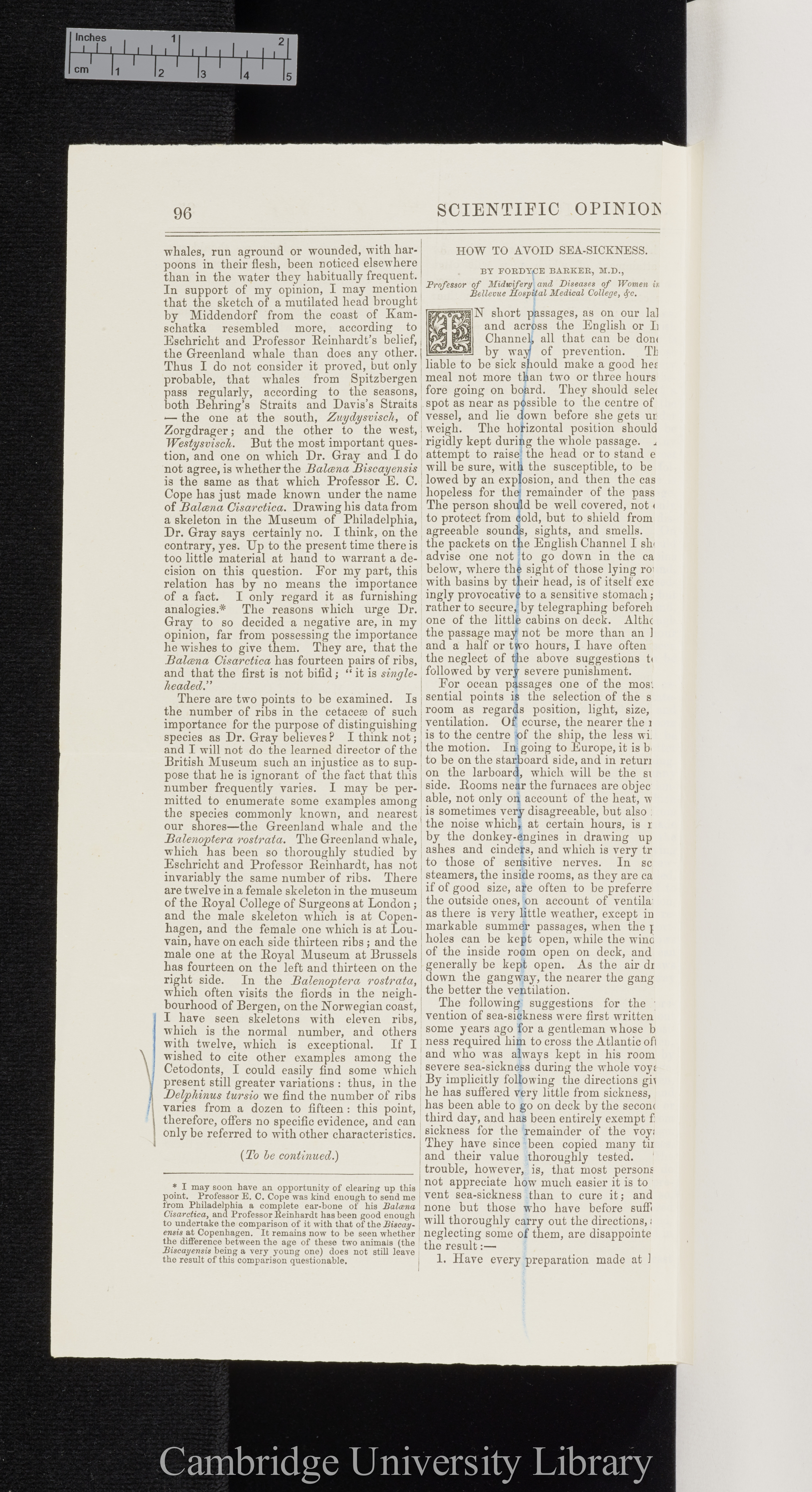 van Beneden, Edouard. The distribution of the Balaenae (remarks on the views of J E Gray) &#39;Scientific Opinion&#39;: 96