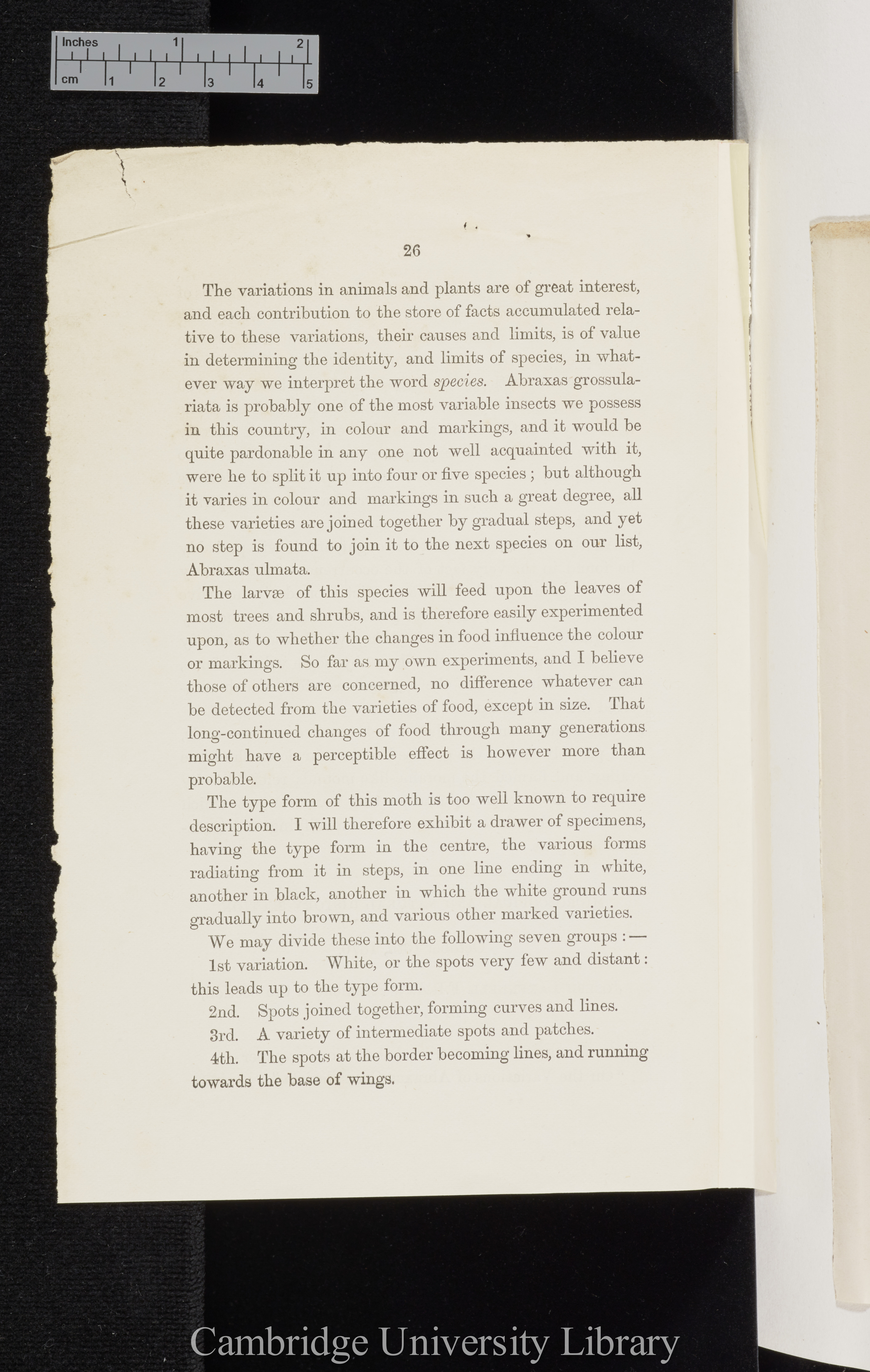 Sidebotham, Joseph. On the variations of Abraxas grossulariata &#39;Manchester Philosophical Society (Proceedings)&#39; 10: 26