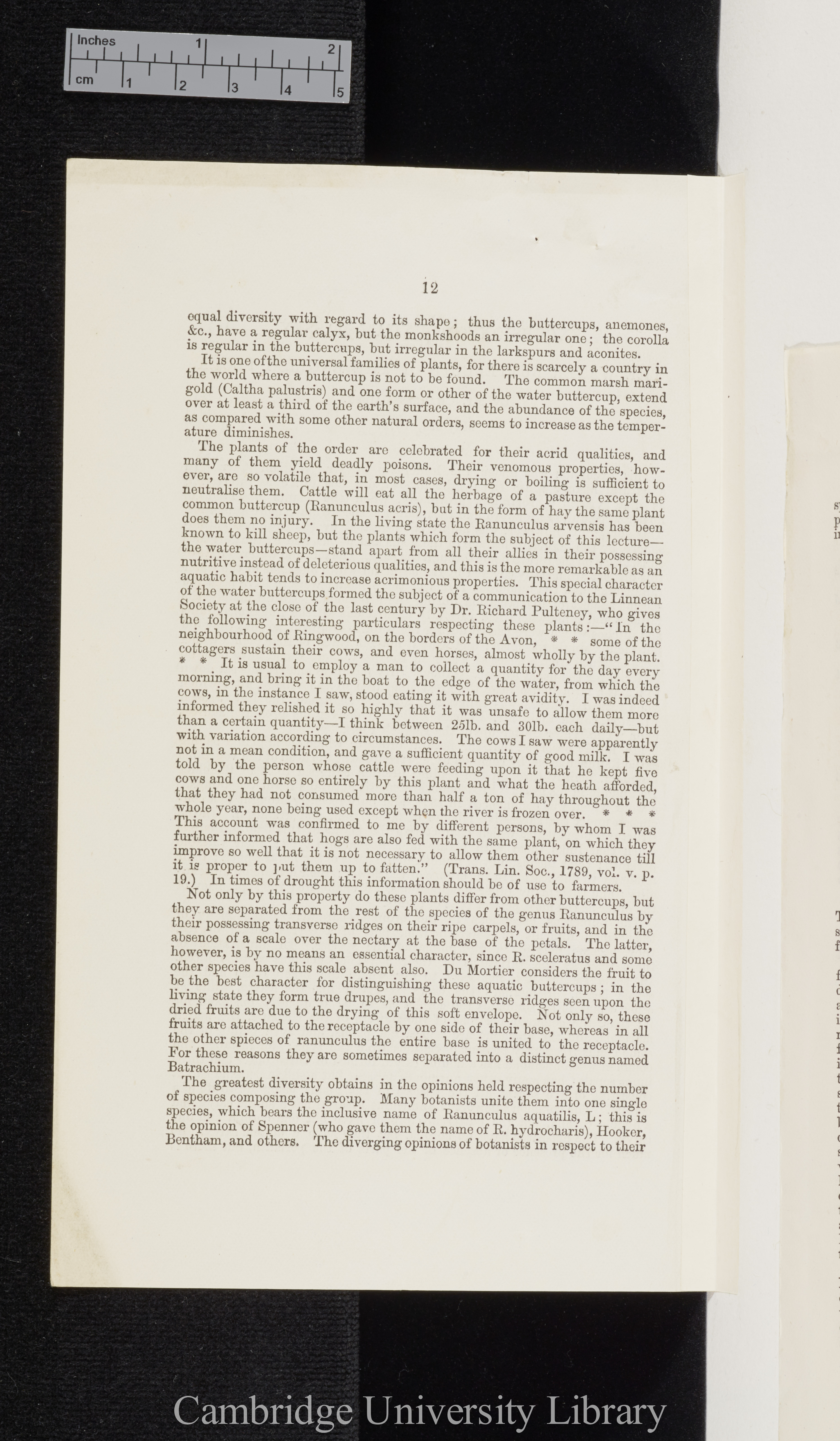 Bailey, Charles. Excursion to Dunham Massey: the water buttercups of the English flora &#39;Manchester Scientific Students&#39; Association (Annual Report)&#39;: 12