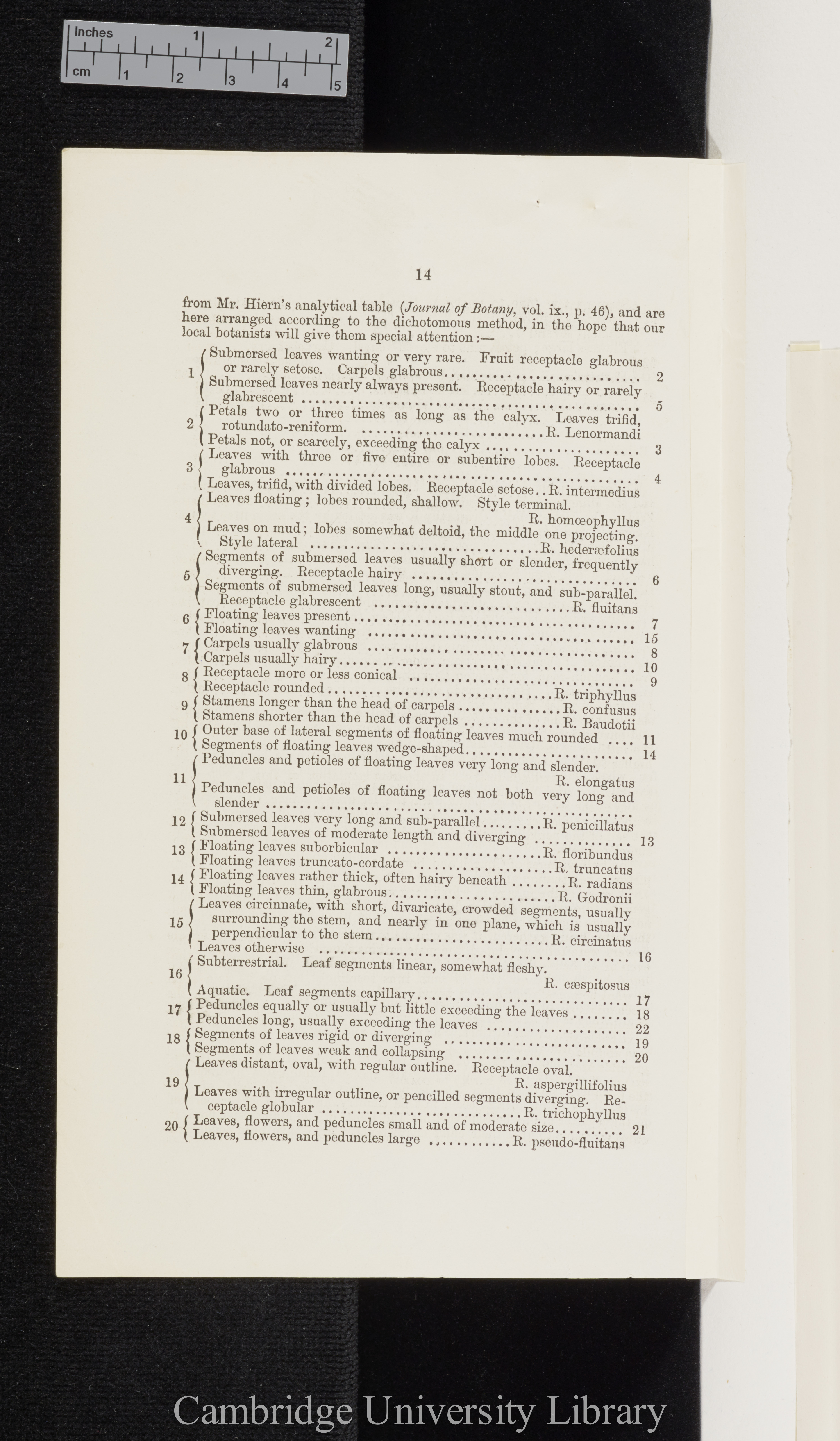 Bailey, Charles. Excursion to Dunham Massey: the water buttercups of the English flora &#39;Manchester Scientific Students&#39; Association (Annual Report)&#39;: 14