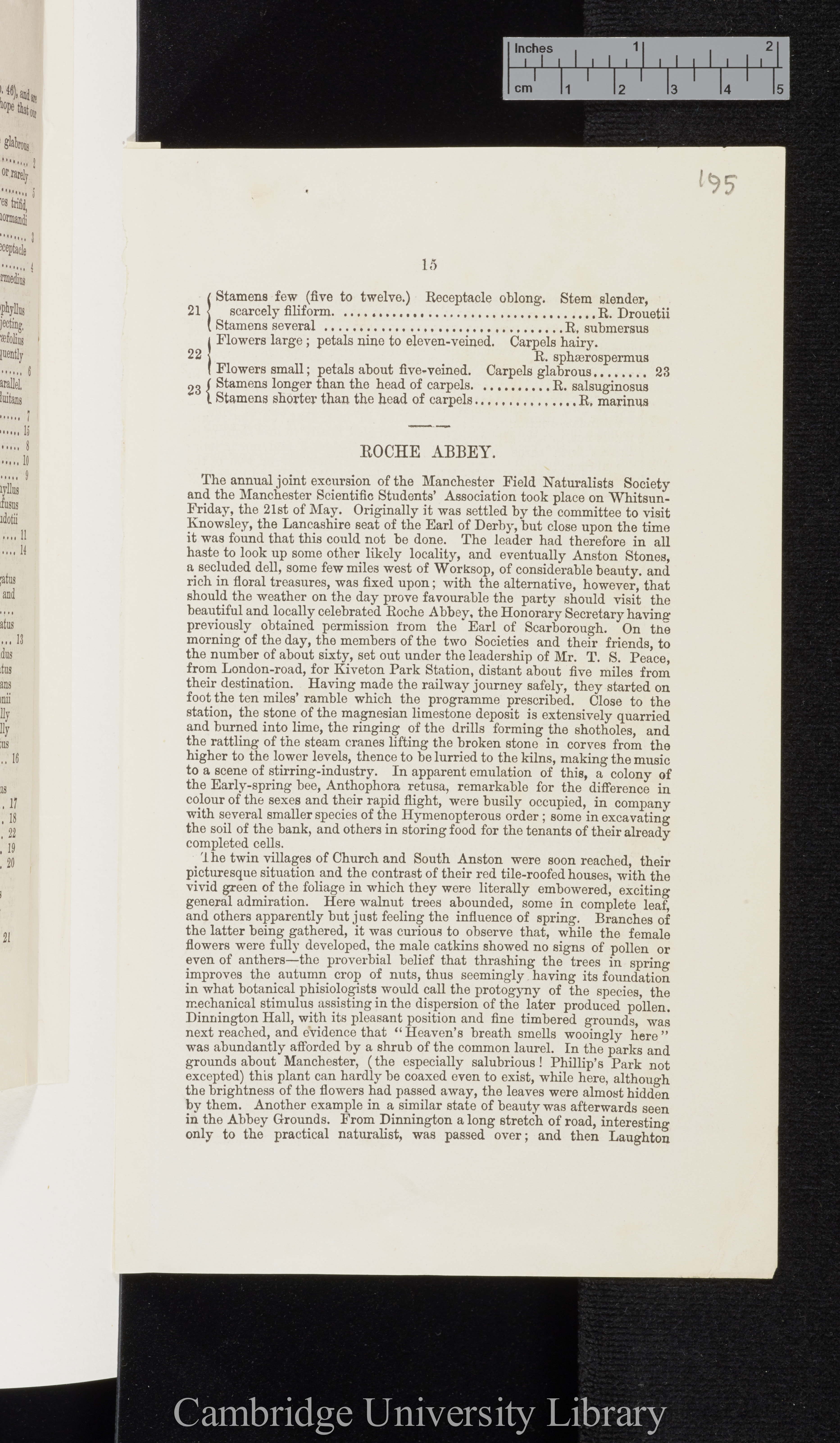 Bailey, Charles. Excursion to Dunham Massey: the water buttercups of the English flora &#39;Manchester Scientific Students&#39; Association (Annual Report)&#39;: 15