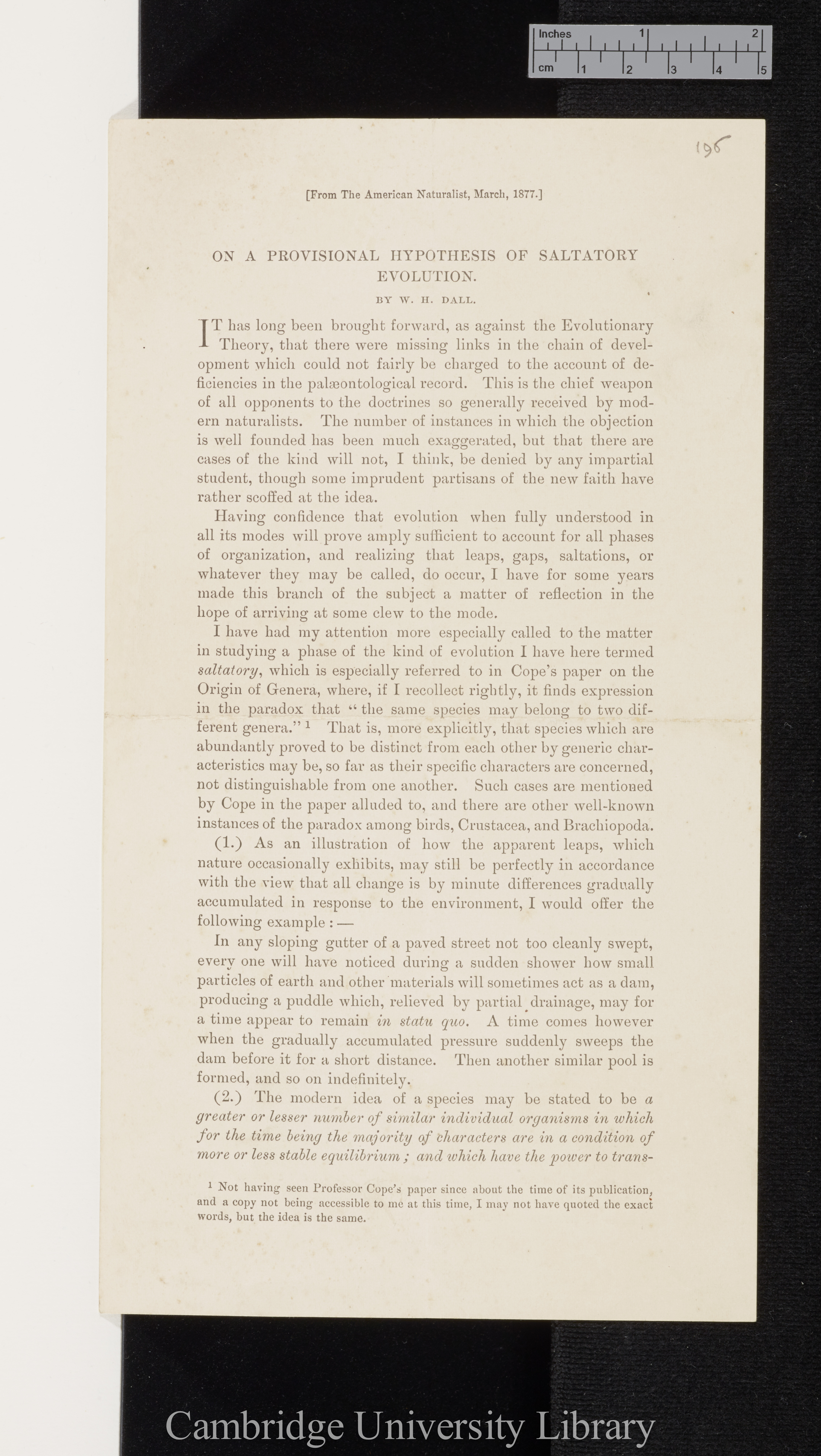 Dall,  William Healey. On a provisional hypothesis of saltatory evolution &#39;American Naturalist&#39; 11: 135-137 [1, unpaginated]