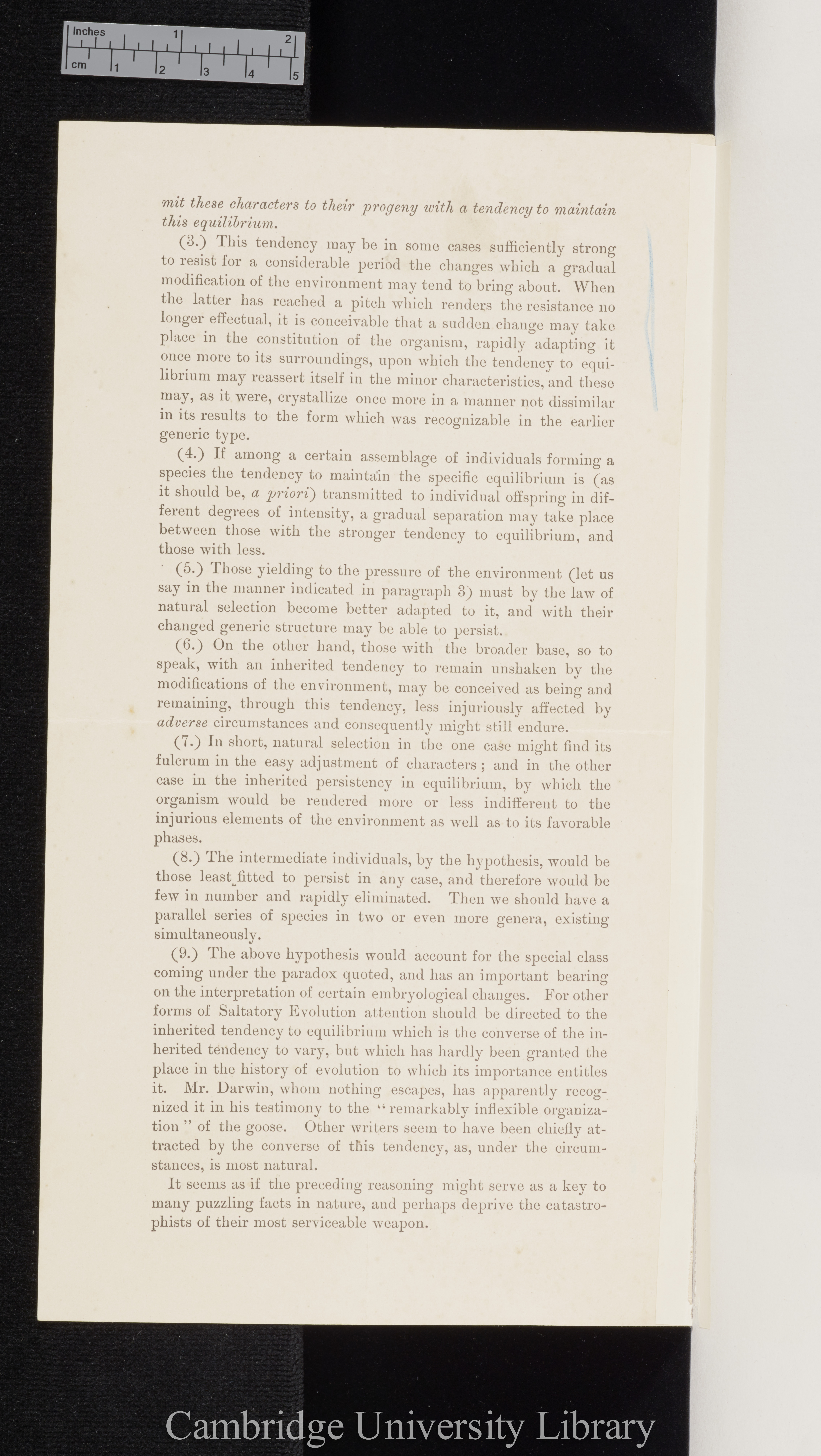 Dall, William Healey. On a provisional hypothesis of saltatory evolution &#39;American Naturalist&#39; 11: 135-137 [2, unpaginated]