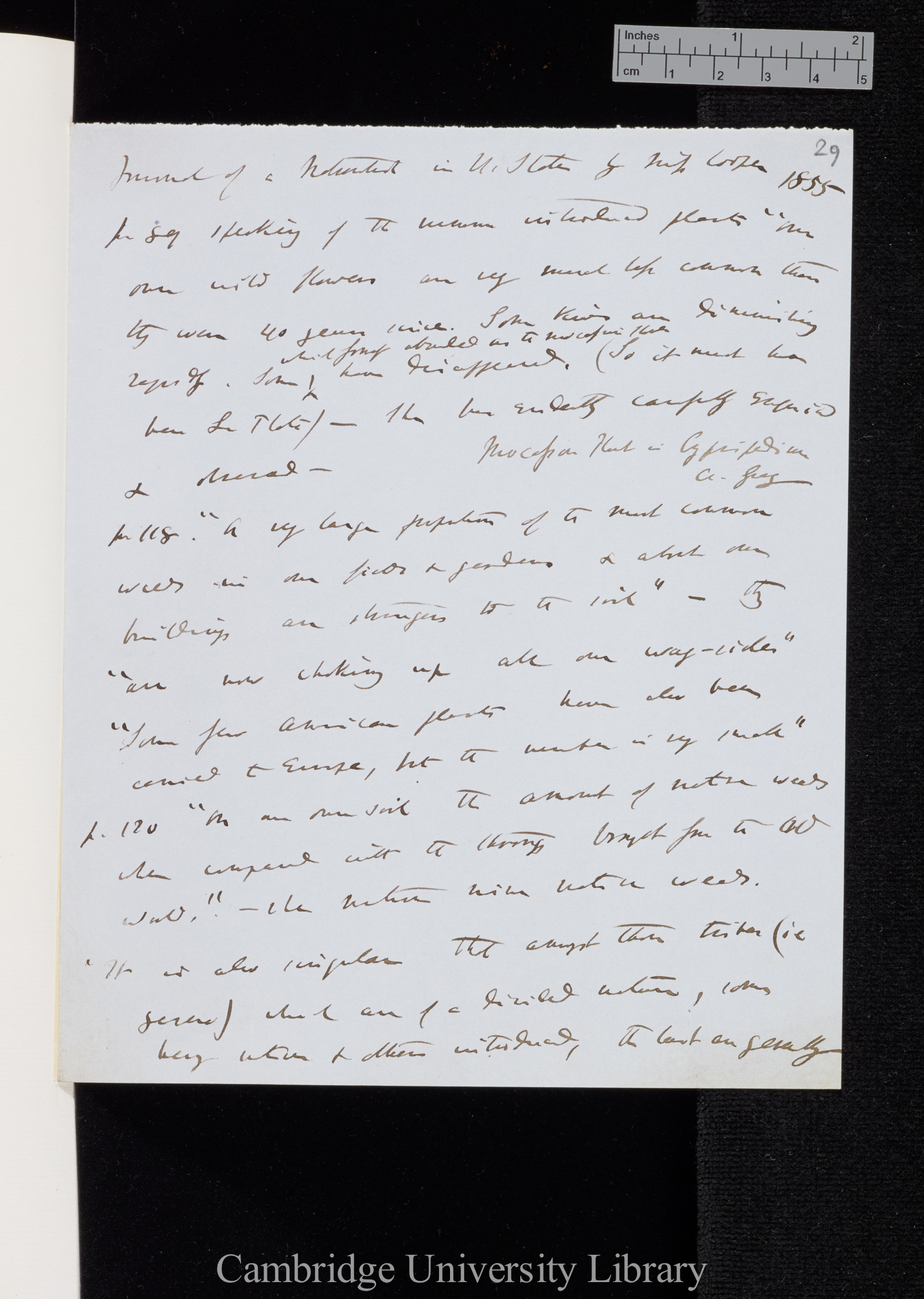 Cooper (Miss) &#39;Journal of a naturalist in U States&#39; 1855: 89, 118, 120, 140, 142, 231-233