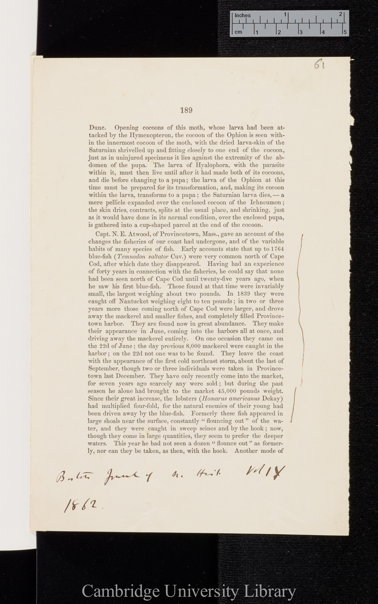 Atwood, N. E. [Notes on the habits of bluefish, cod, and mackerel] &#39;Boston Society of Natural History (Proceedings)&#39; 9: 189