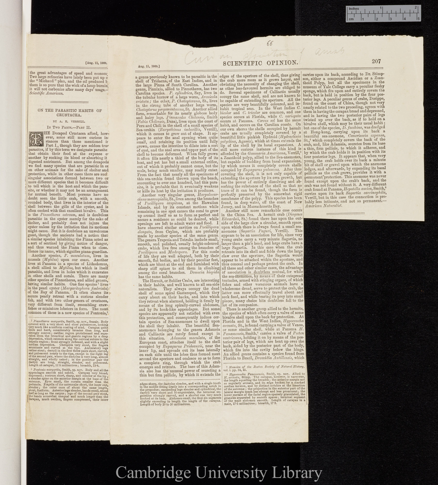 Verrill, Addison Emory. On the parasitic habits of Crustacea &#39;Scientific Opinion&#39;: 206-207