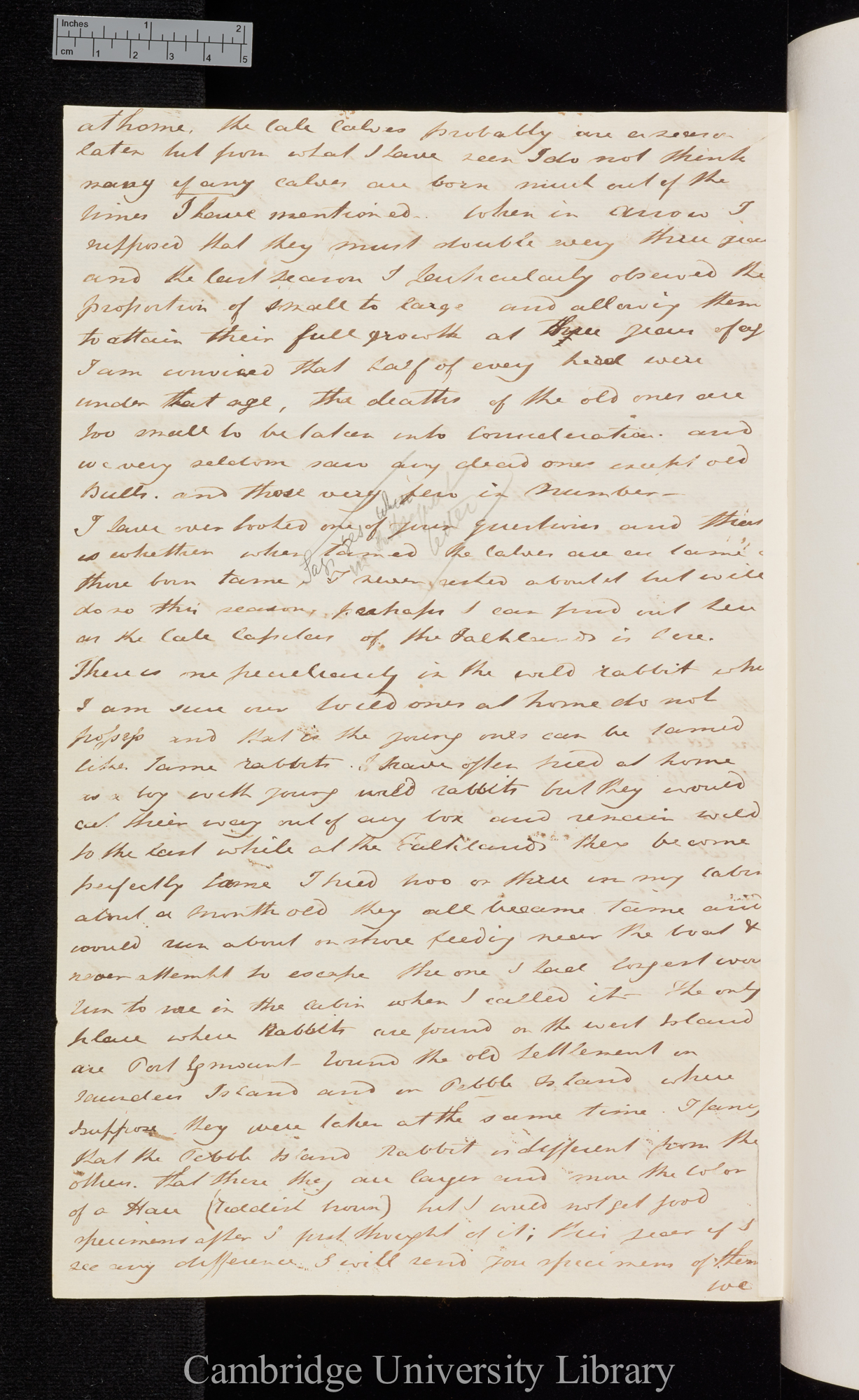 [Sir Bartholomew James Sulivan] to Charles Robert Darwin