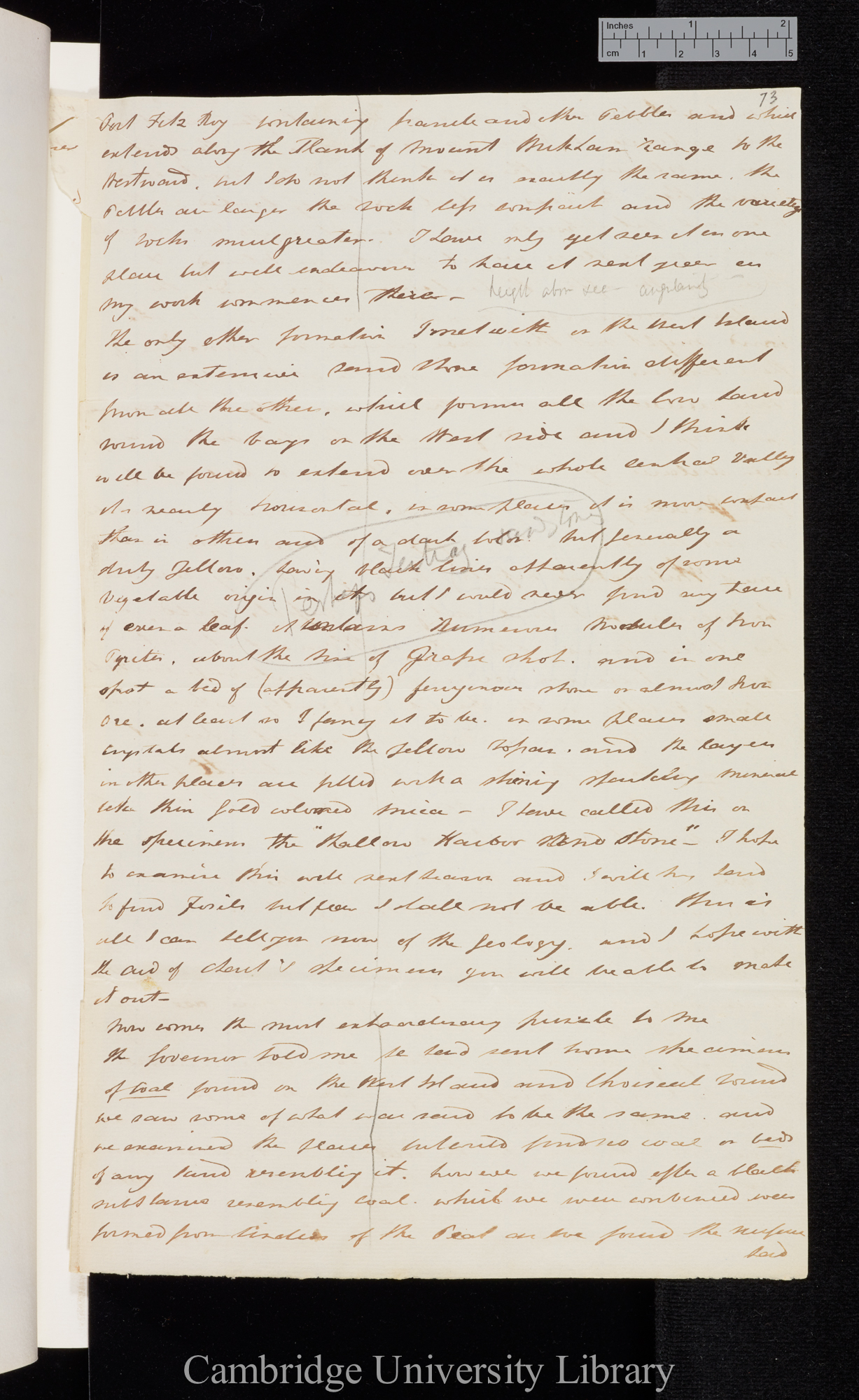 [Sir Bartholomew James Sulivan] to Charles Robert Darwin