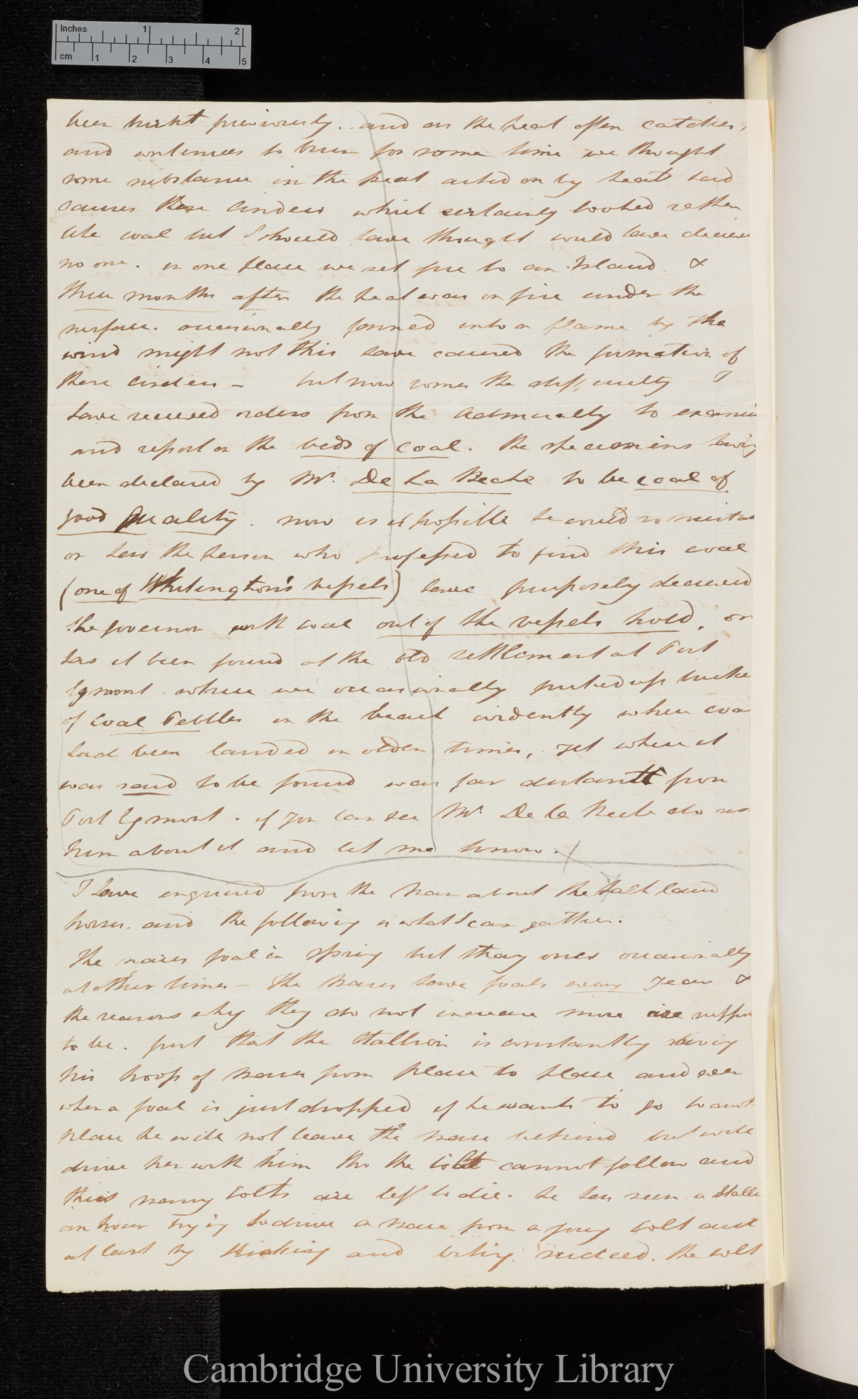 [Sir Bartholomew James Sulivan] to Charles Robert Darwin