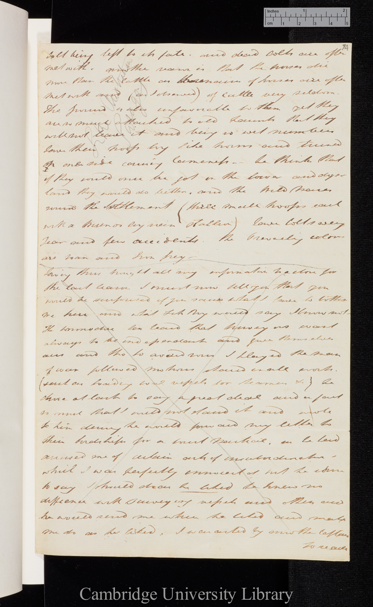 [Sir Bartholomew James Sulivan] to Charles Robert Darwin