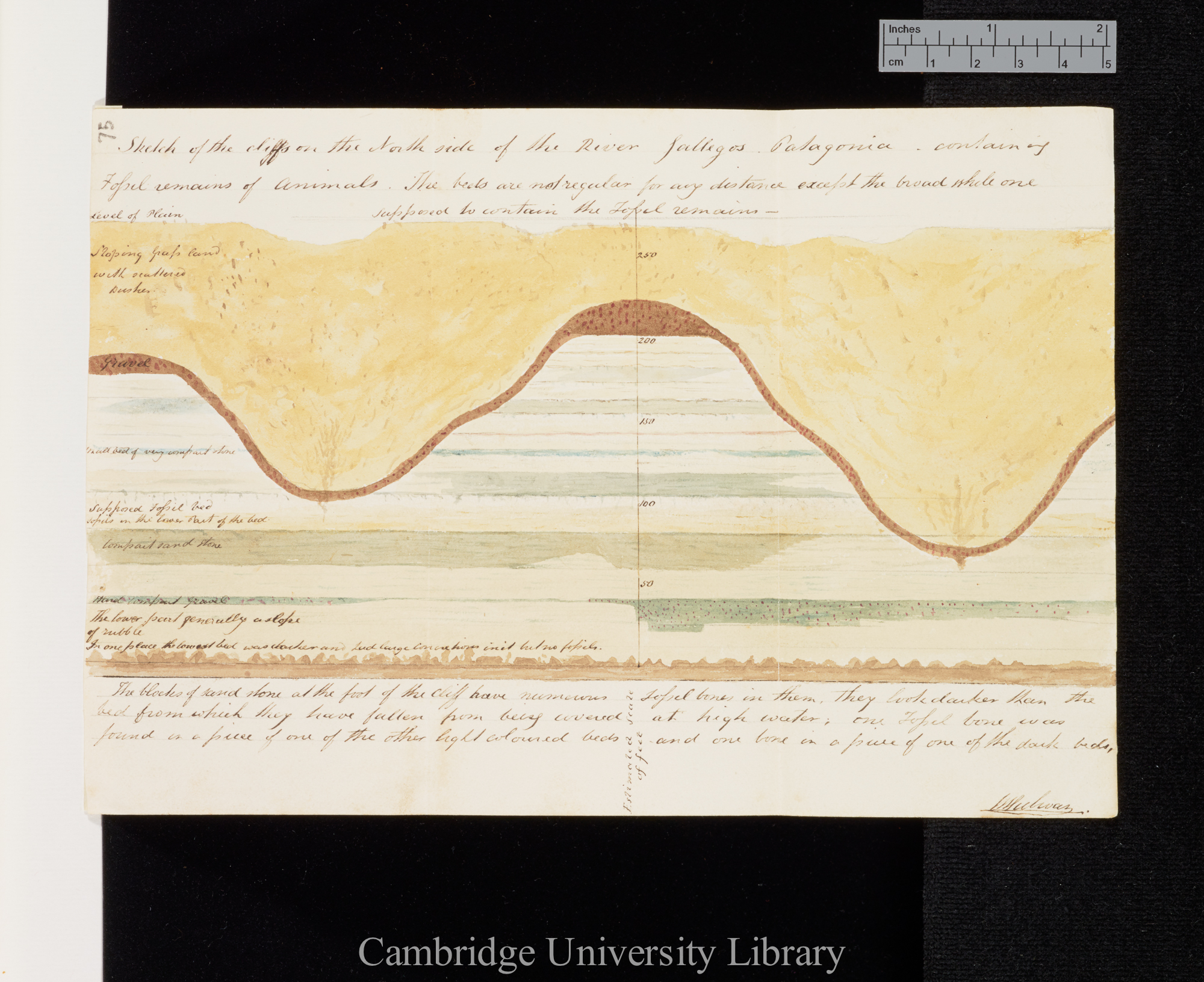 Sir Bartholomew James Sulivan to Charles Robert Darwin [sketch]