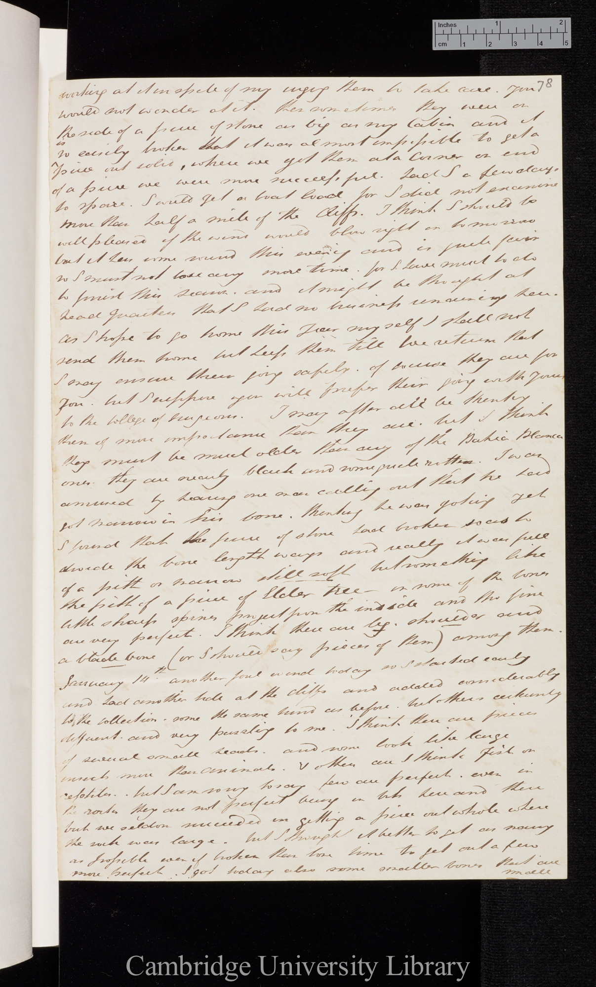 Sir Bartholomew James Sulivan to Charles Robert Darwin