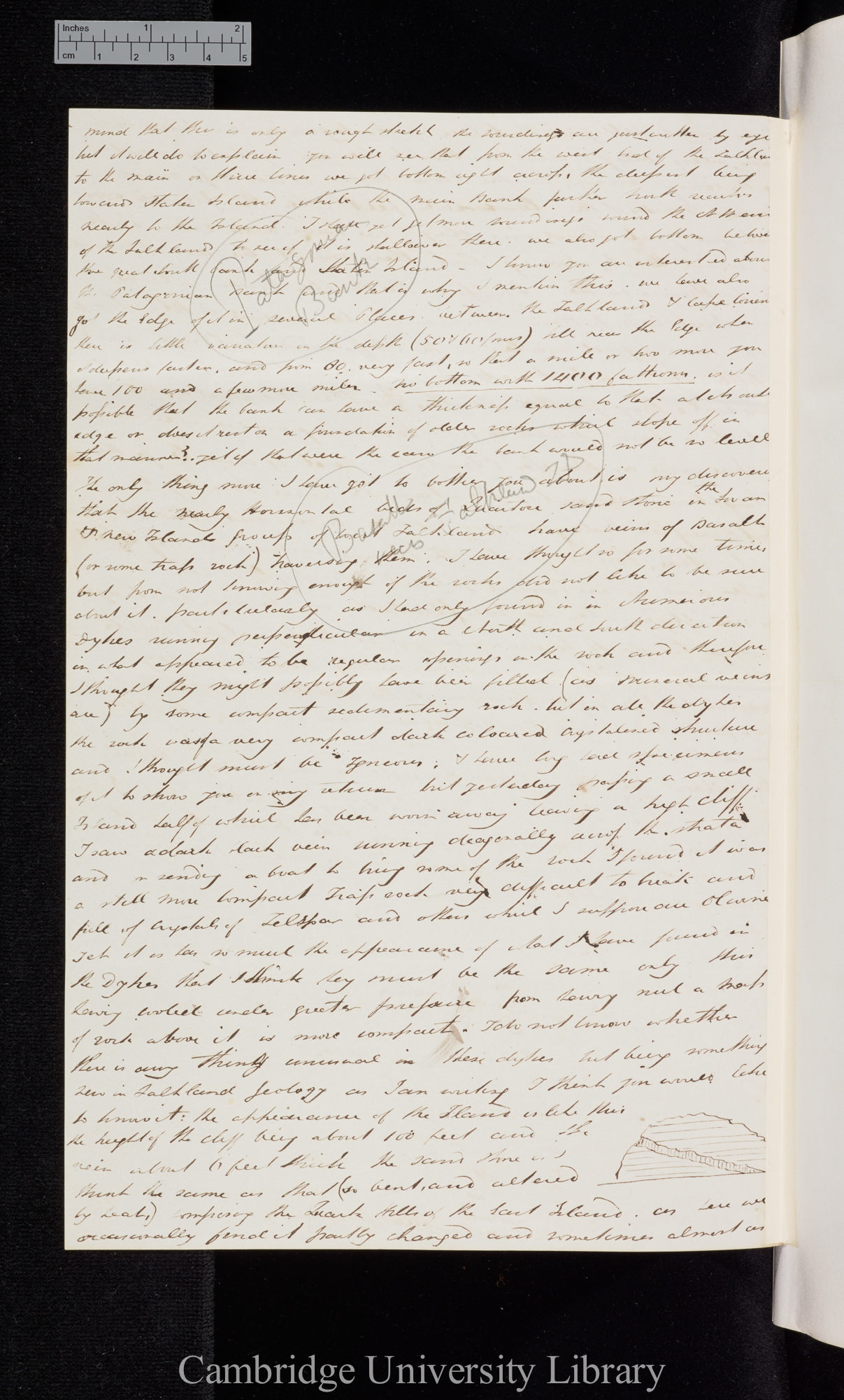 Sir Bartholomew James Sulivan to Charles Robert Darwin