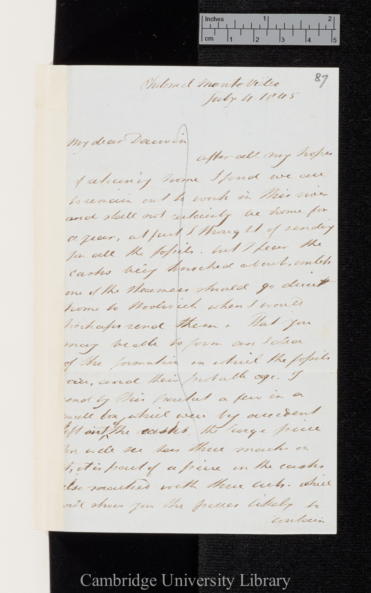 Sir Bartholomew James Sulivan to Charles Robert Darwin