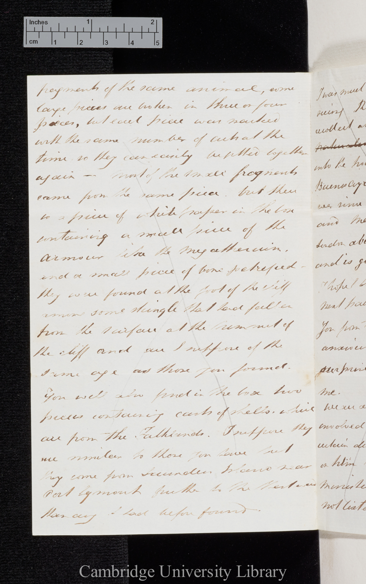 Sir Bartholomew James Sulivan to Charles Robert Darwin