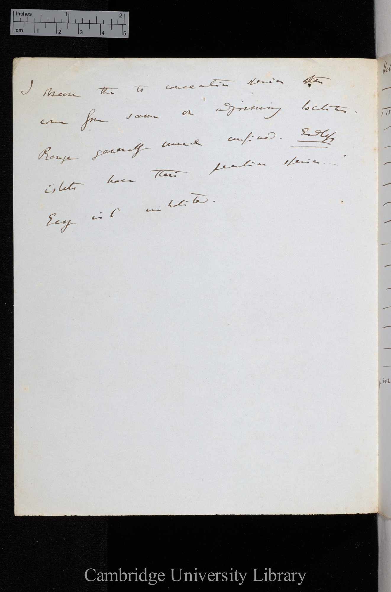 Pfeiffer 1848 Ms p 1 verso