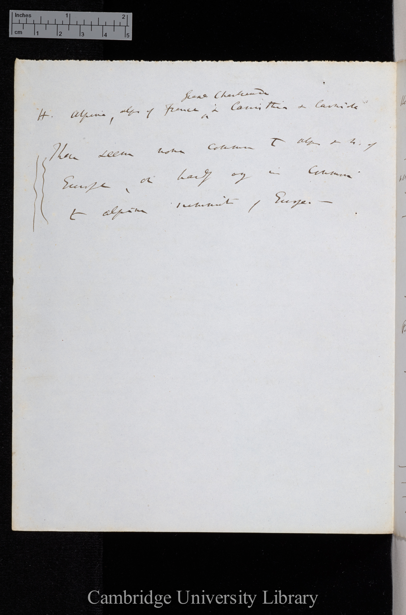 Pfeiffer 1848 Ms p 3 verso