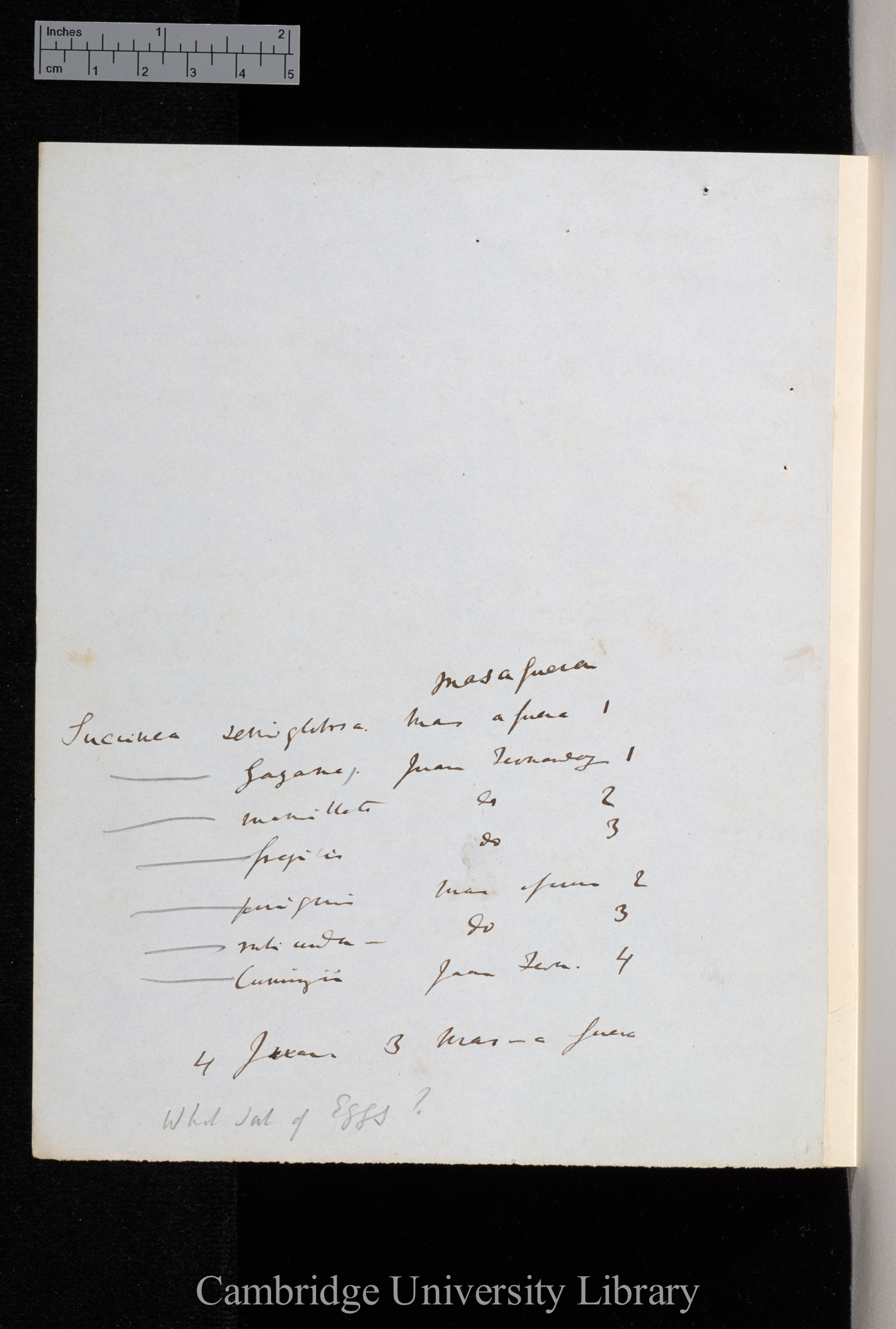 Pfeiffer 1848 Ms p 6 verso