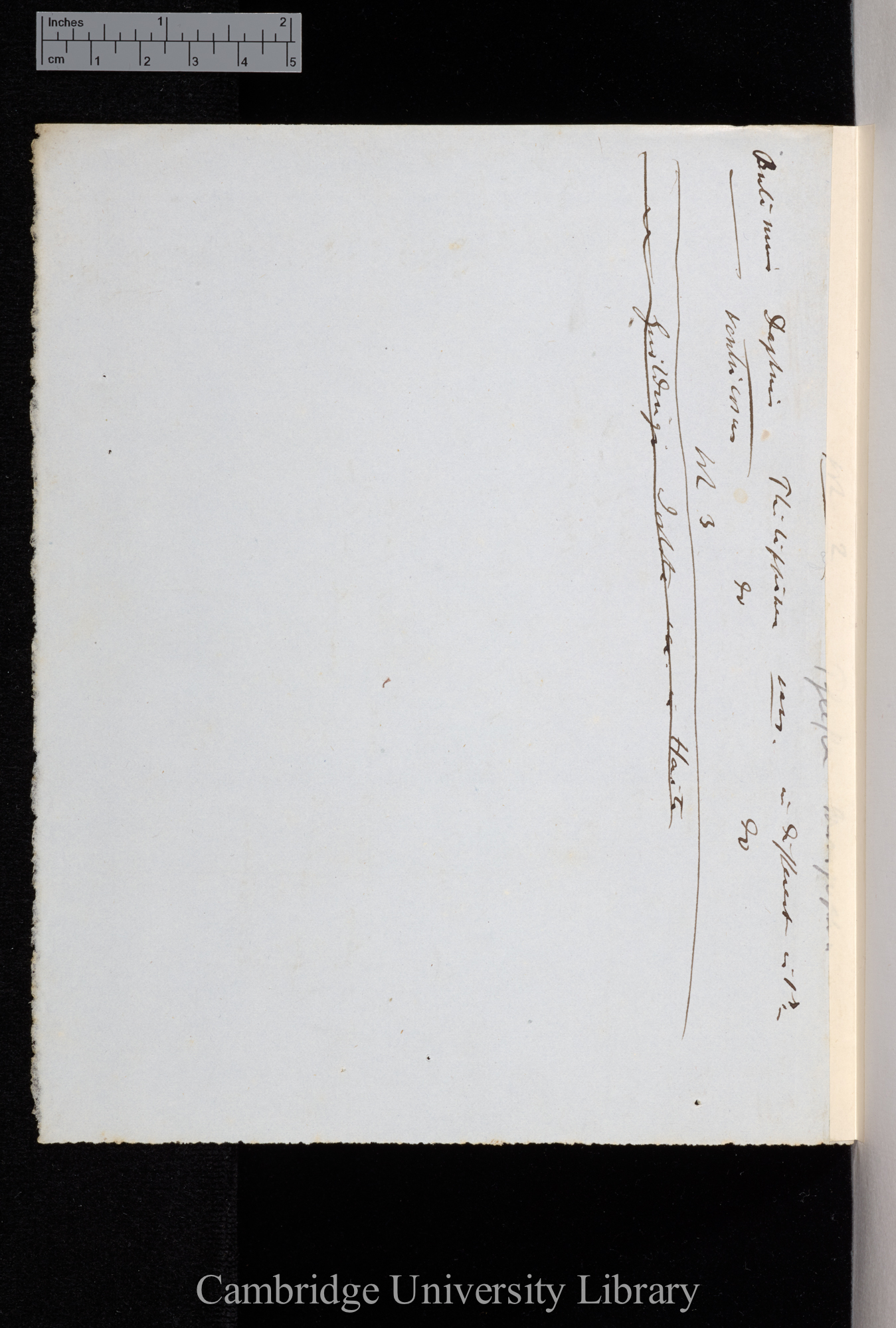 Pfeiffer 1852 table verso