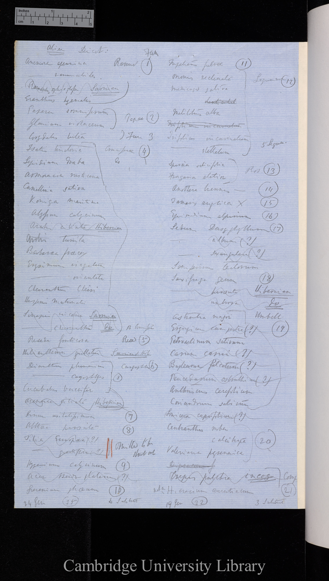 List of alien dicot species marked with Cybele Britannica family numbers [1]