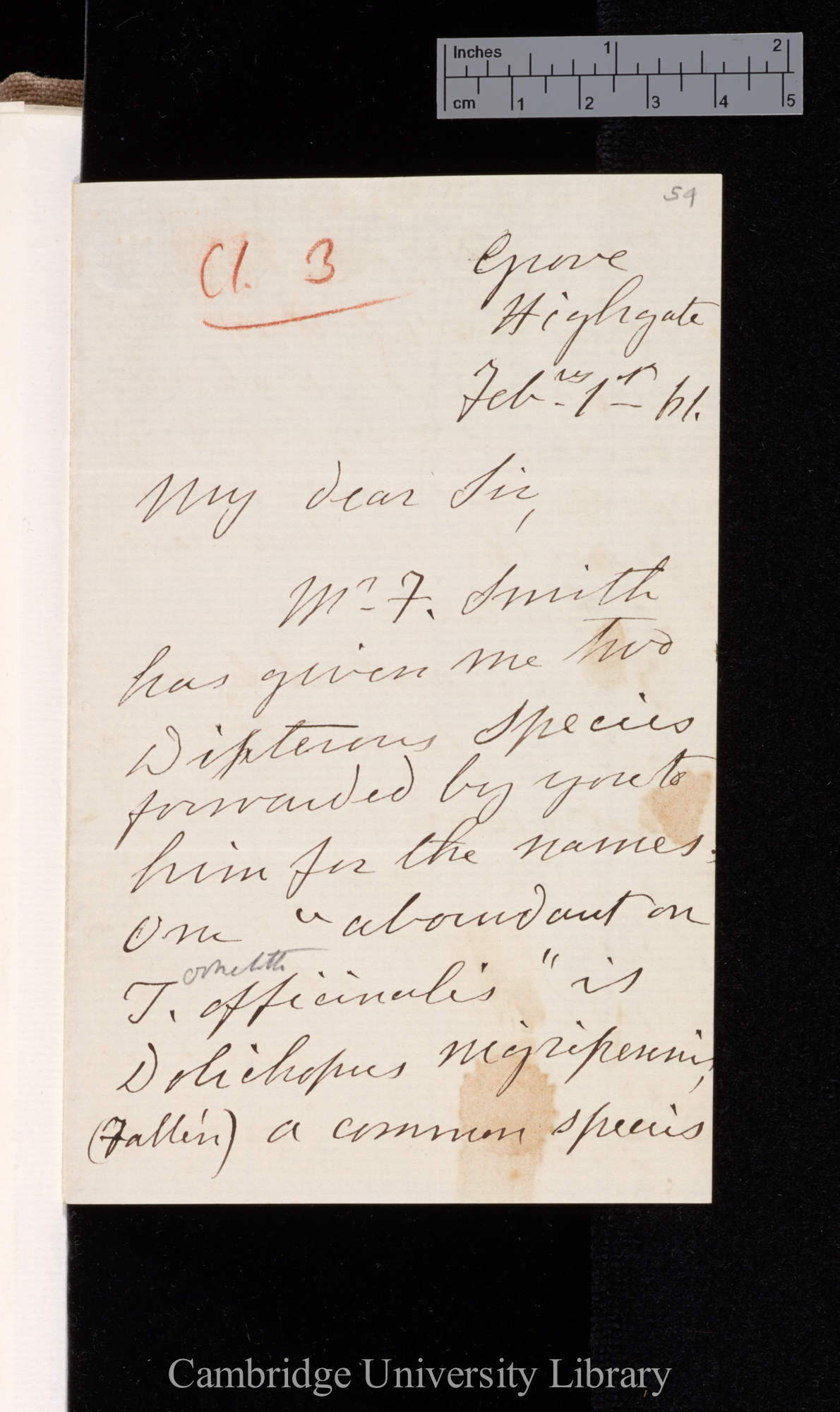 Francis Walker to Charles Robert Darwin