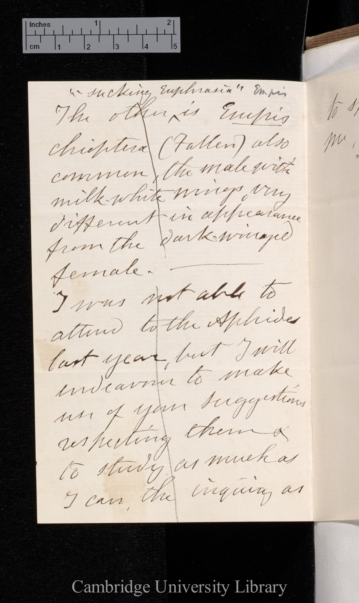 Francis Walker to Charles Robert Darwin