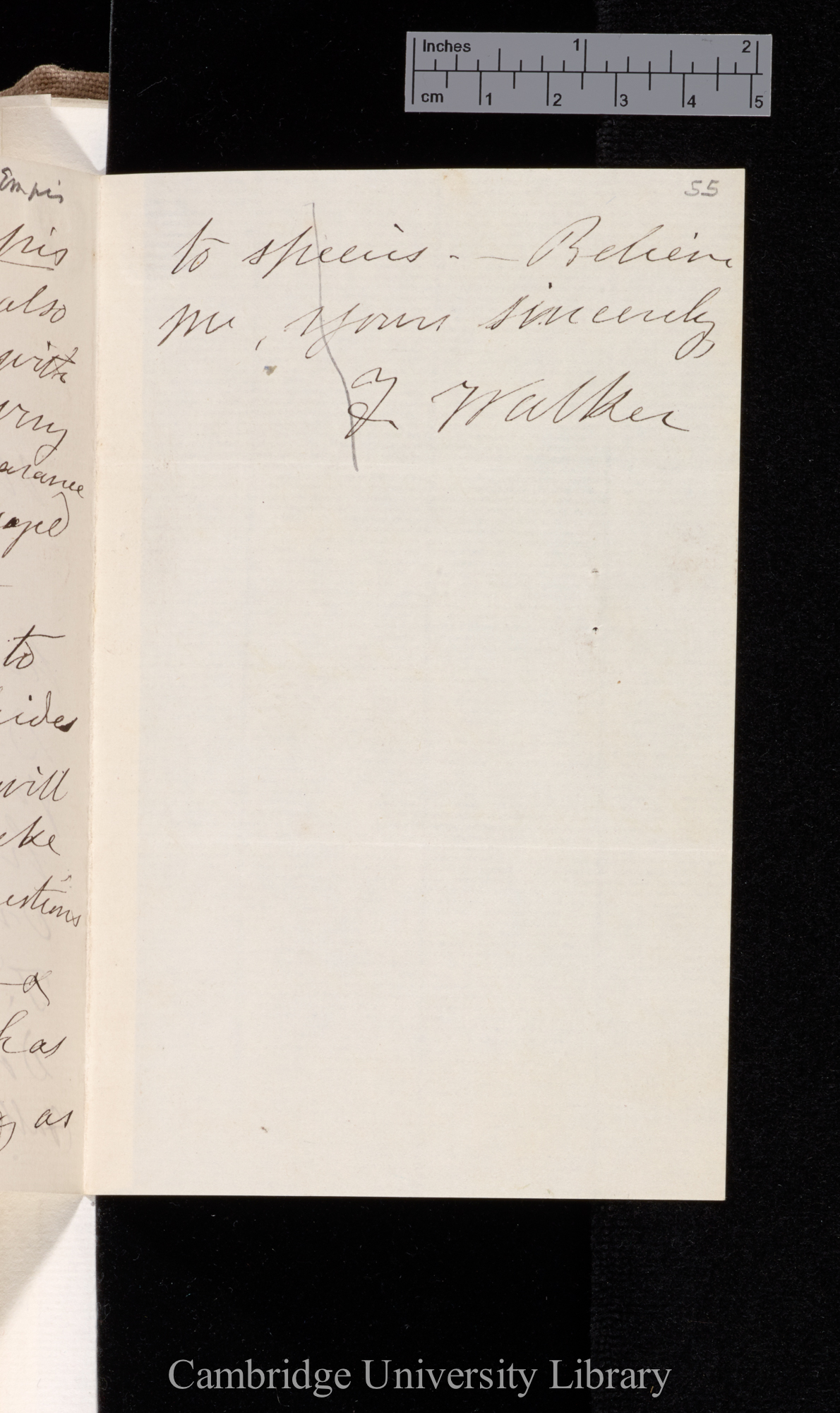 Francis Walker to Charles Robert Darwin