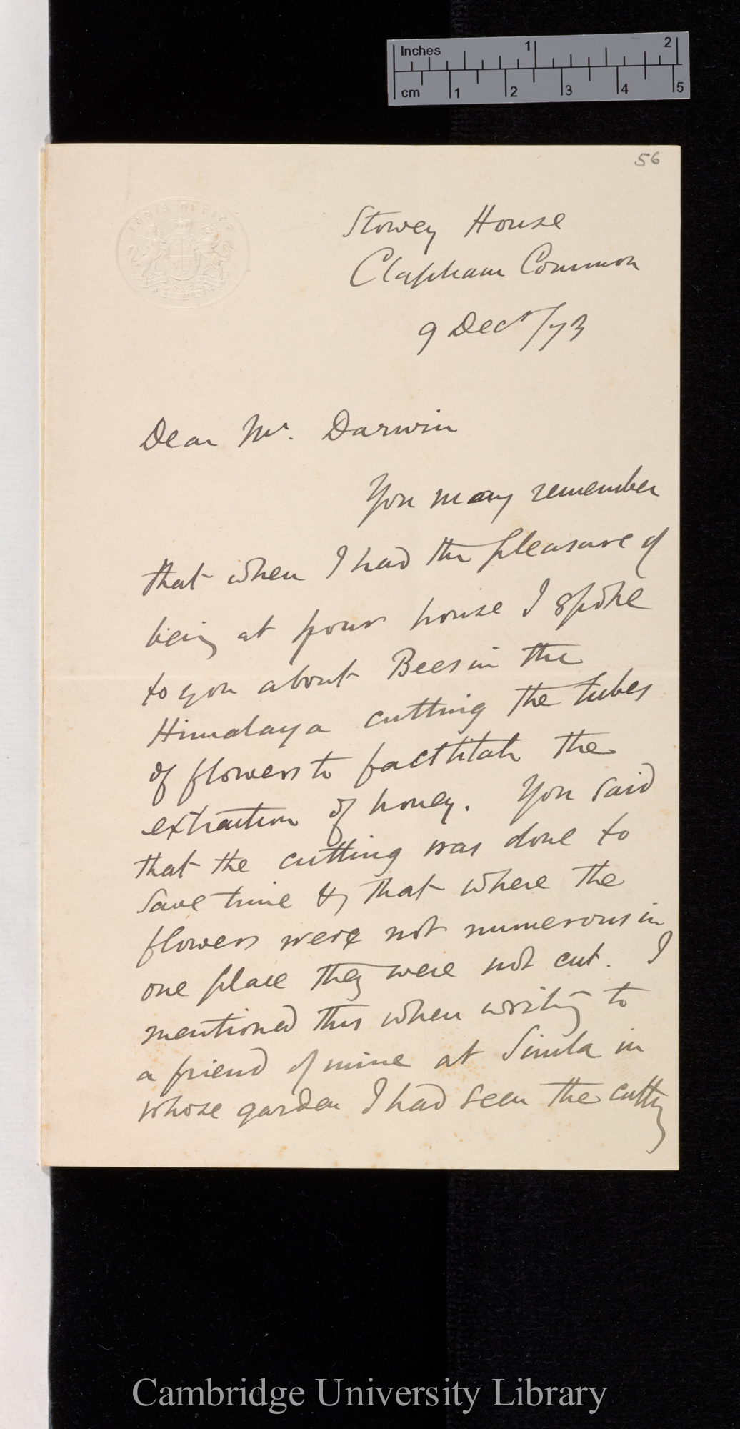 Richard Strachey to Charles Robert Darwin