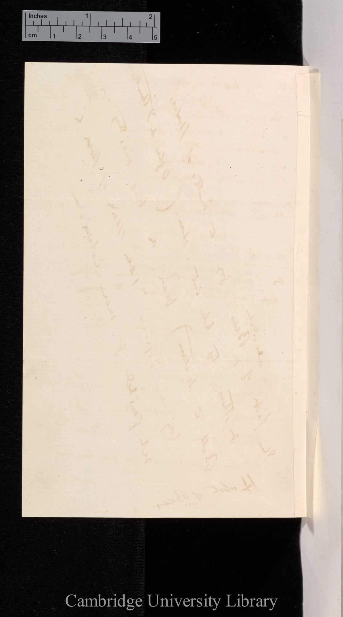 Thomas Belt to Charles Robert Darwin [blank]