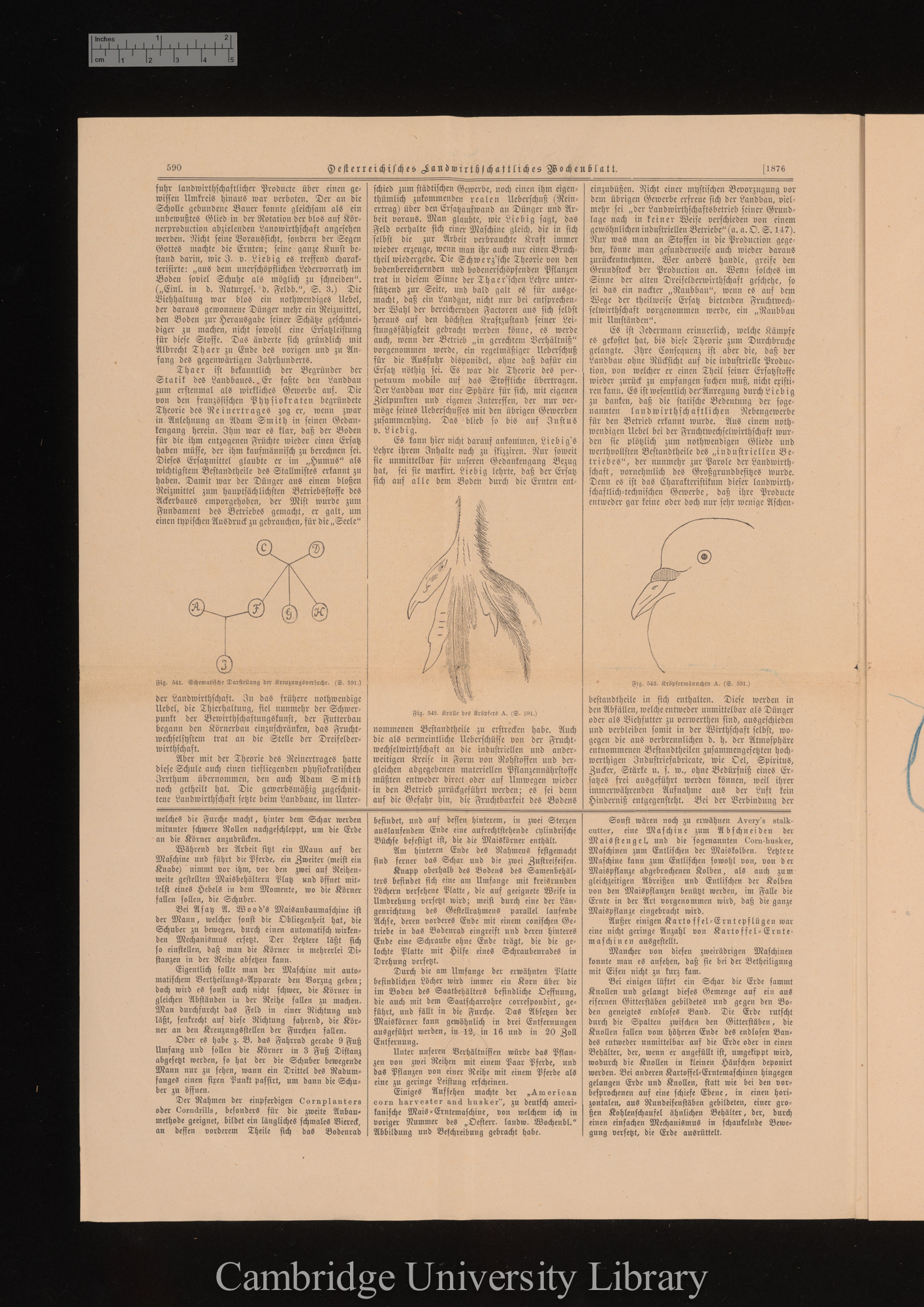 &#39;Oesterreichisches Landwirthschaftliches Wochenblatt&#39; 2: 590