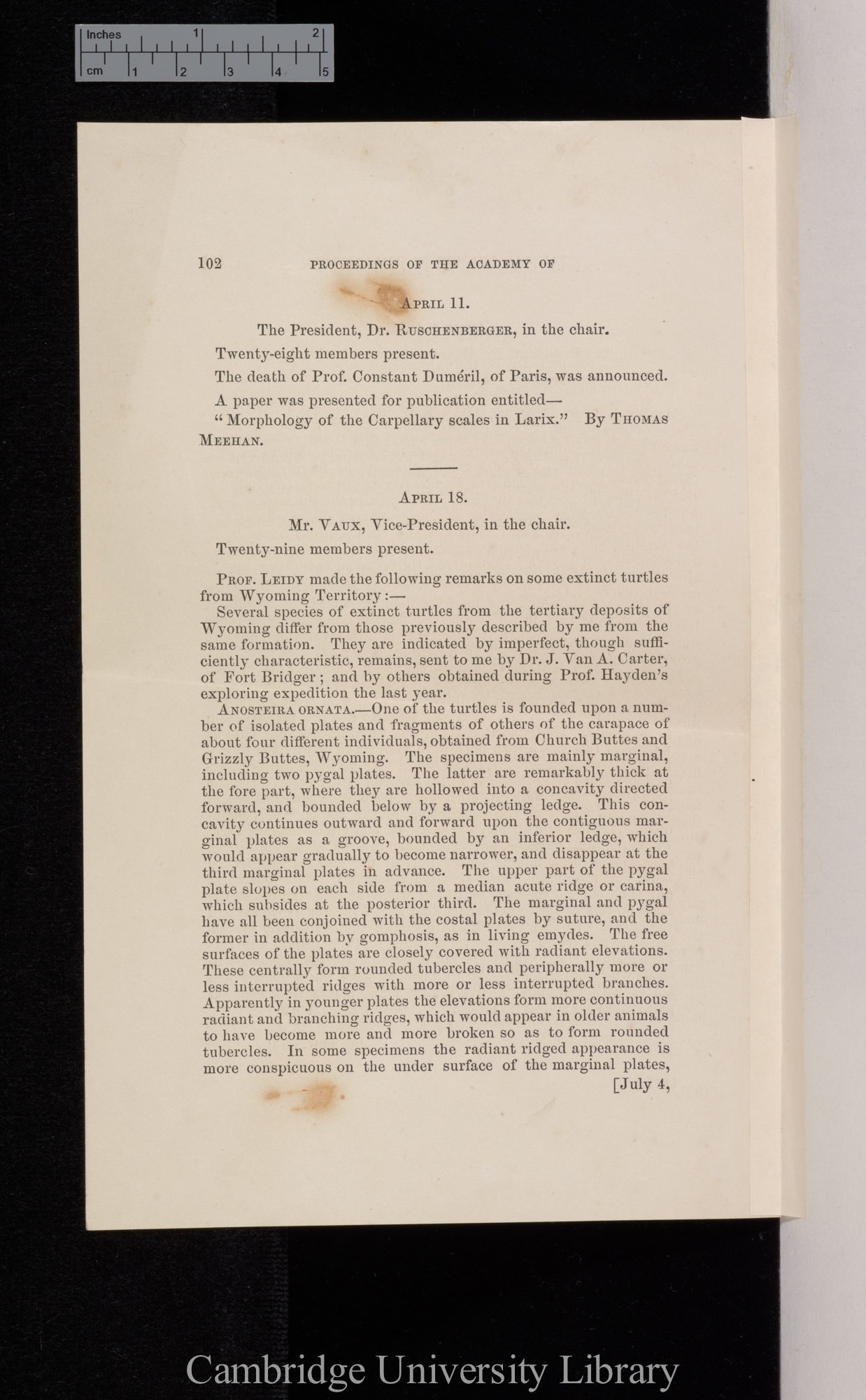 (part issue of) &#39;Philadelphia Academy of Natural Sciences (Proceedings)&#39;: 102