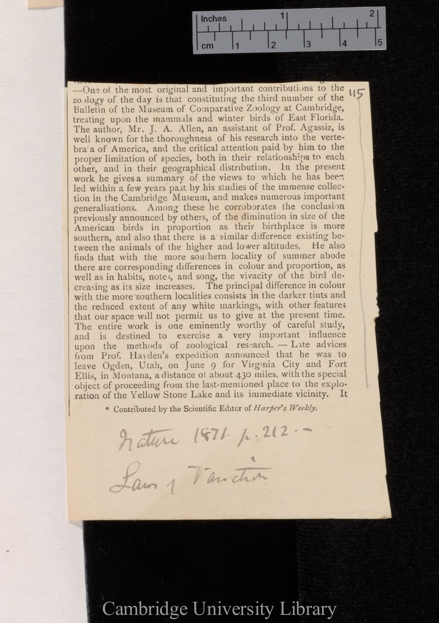 Allen, Joel Asaph. (Mammals and winter birds of East Florida) &#39;Nature&#39; 4: 212