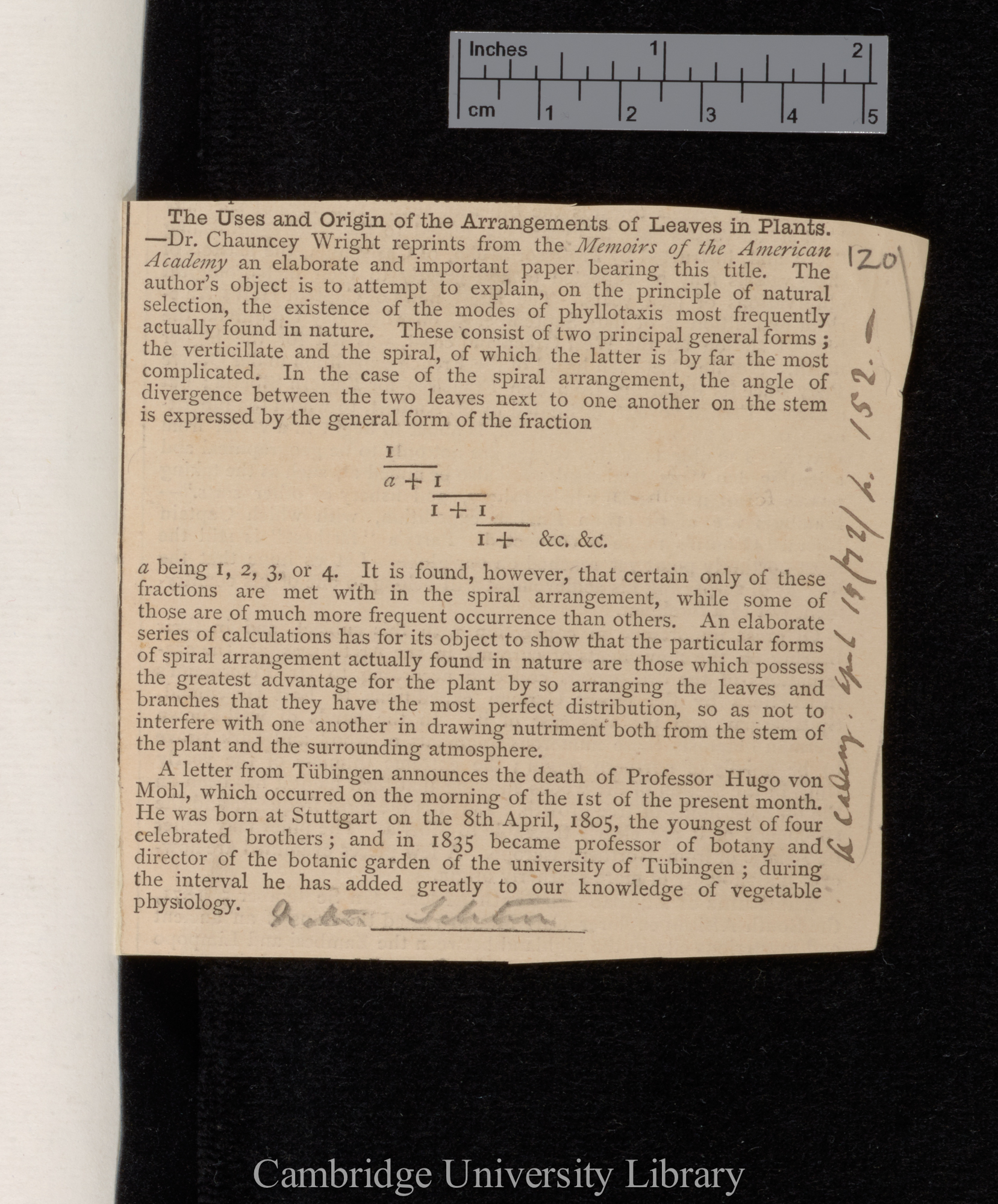 The uses and origin of the arrangements of leaves in plants &#39;Academy&#39; 3: 152