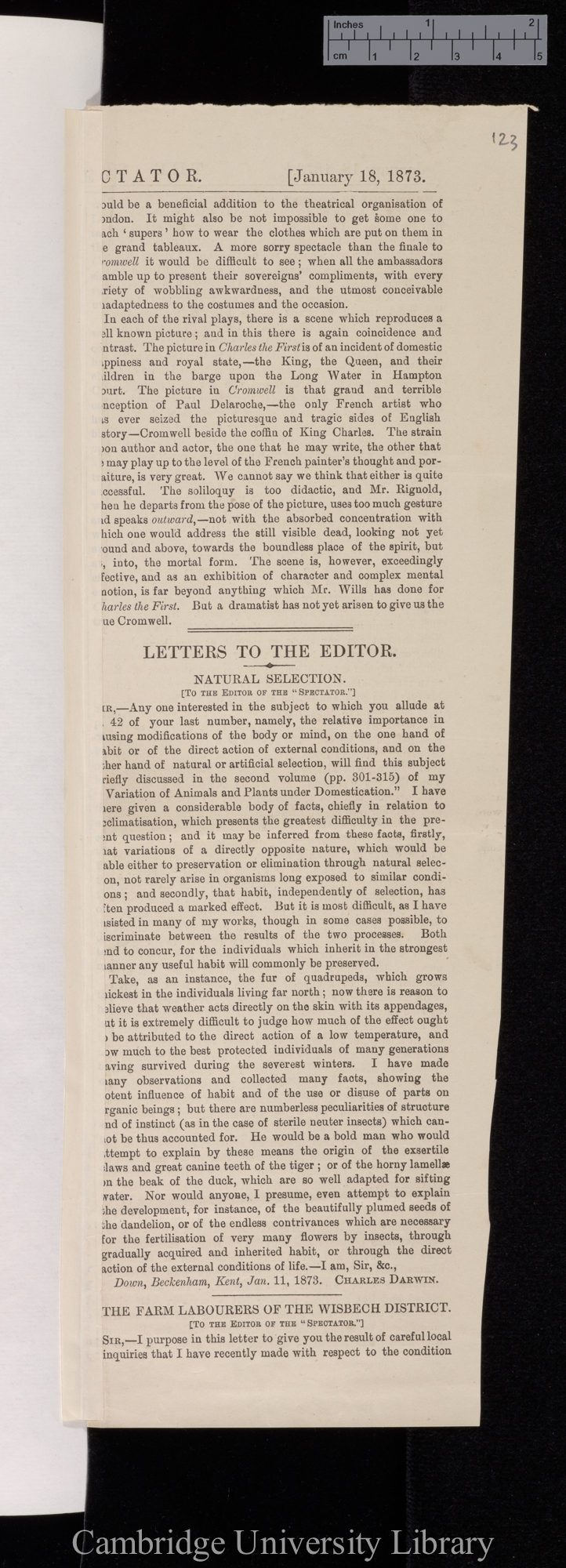 Darwin, Charles. Natural selection (letter to editor) &#39;Spectator&#39;: [p?]