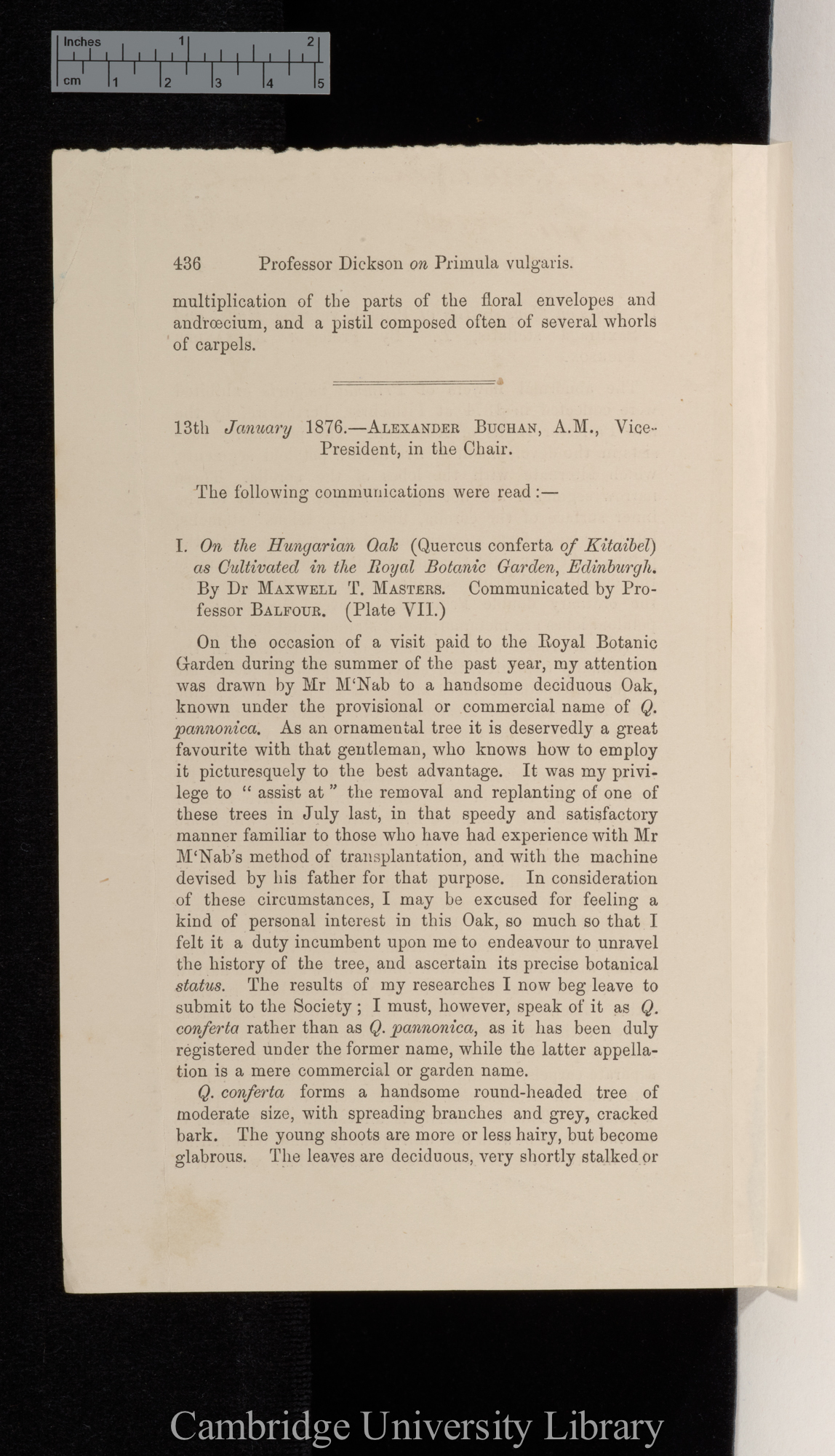 Dickson, Alexander. Notes on monstrosities of Primula vulgaris Huds, and Saxifraga stellaris L &#39;Edinburgh Botanical Society (Transactions)&#39; 12: 436