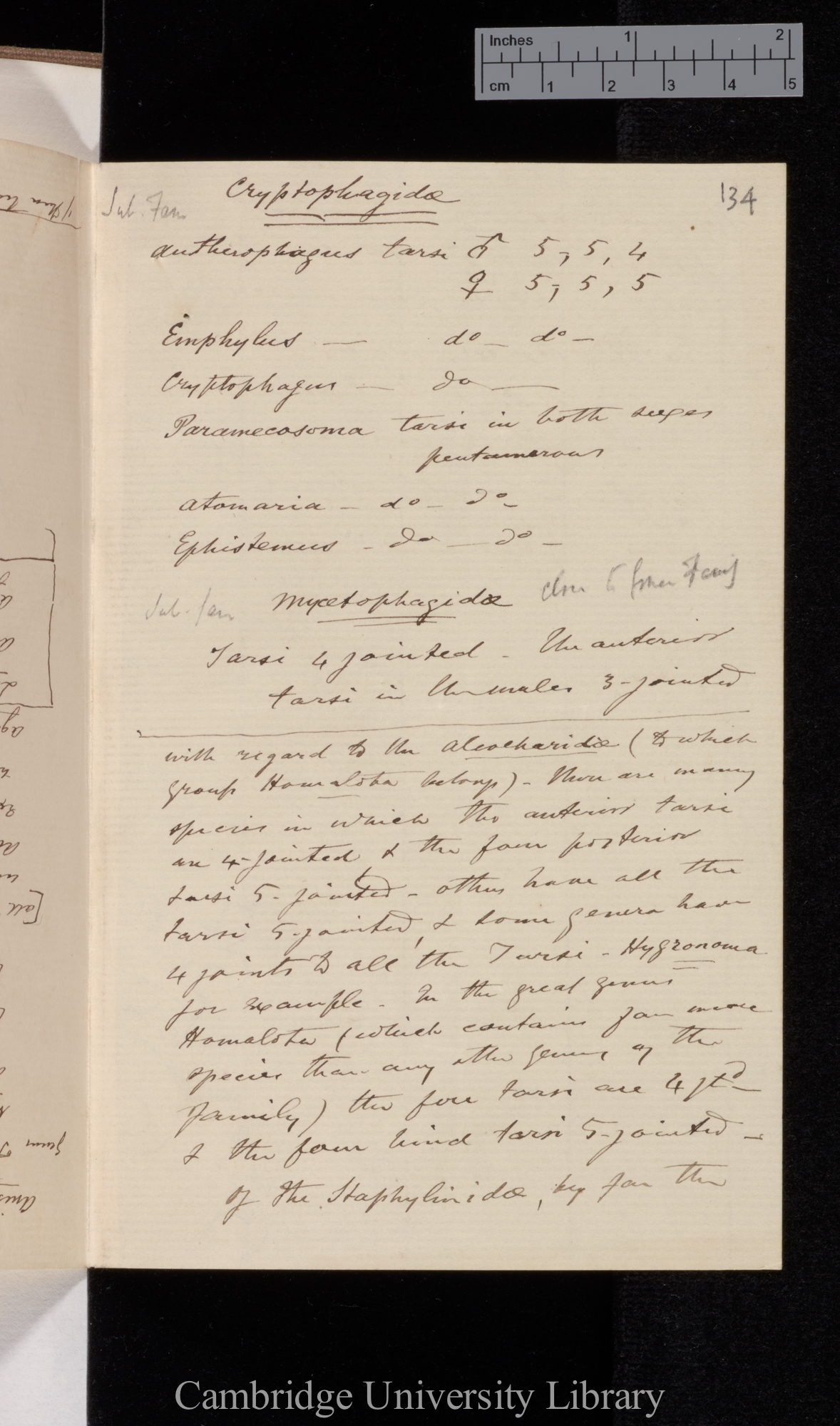 [George Robert Waterhouse] to Charles Robert Darwin