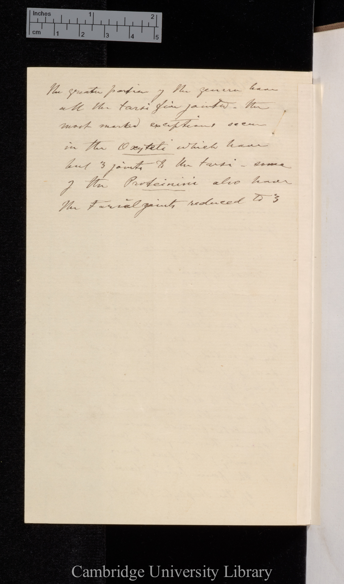 [George Robert Waterhouse] to Charles Robert Darwin