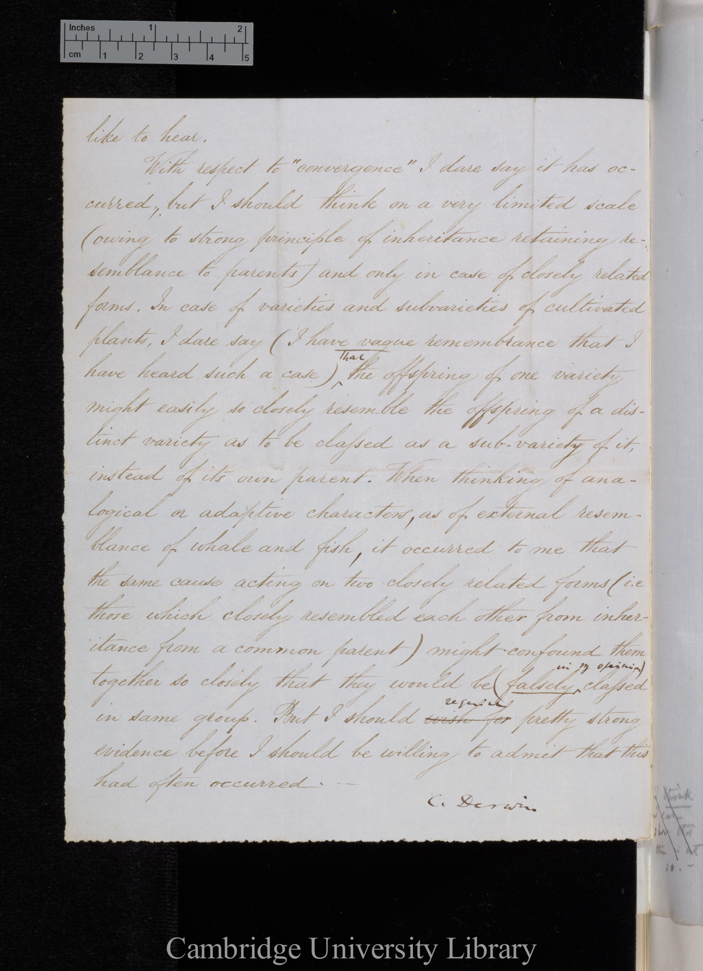 Charles Robert Darwin to [Hewett Cottrell Watson]