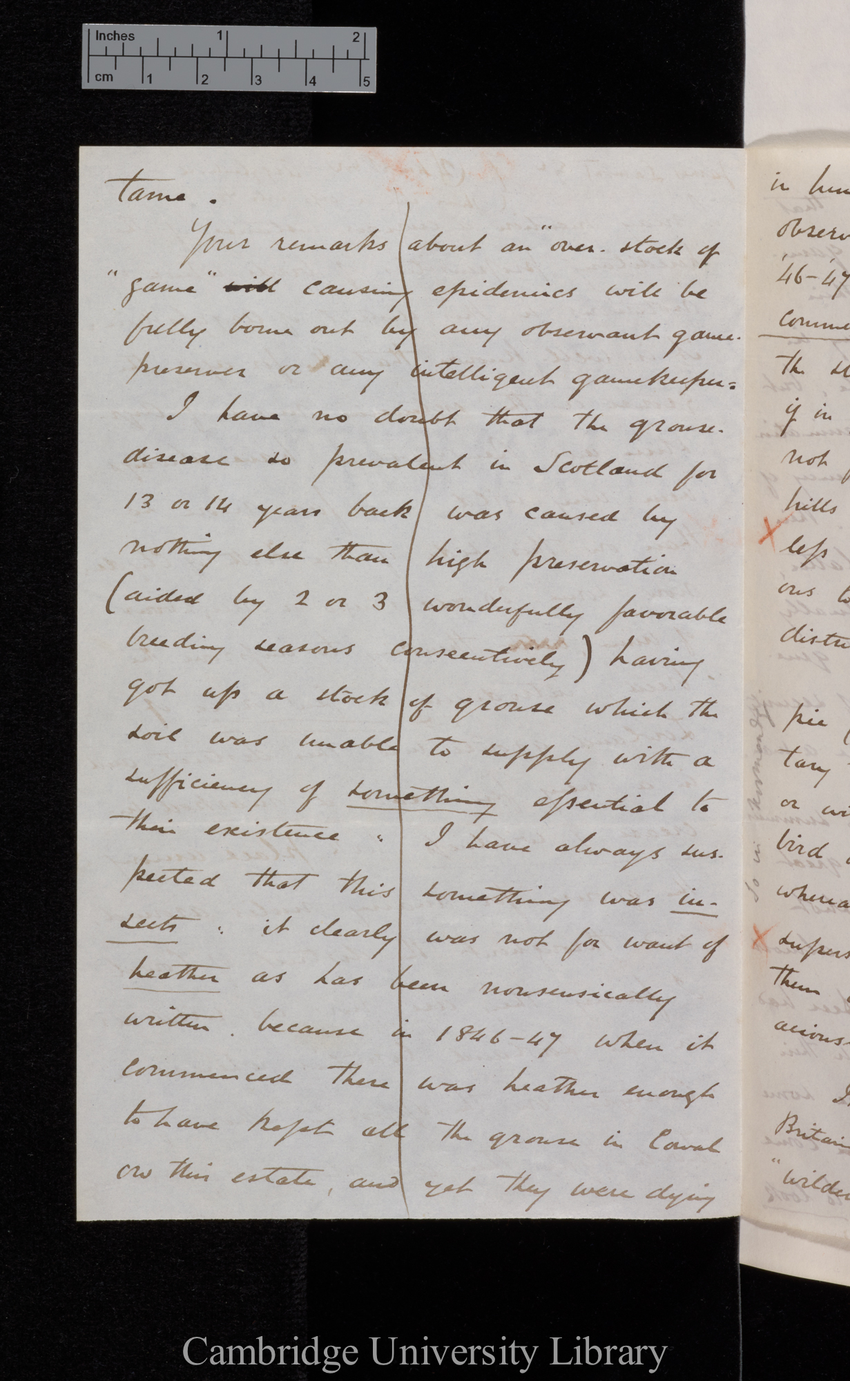 [James Lamont] to Charles Robert Darwin