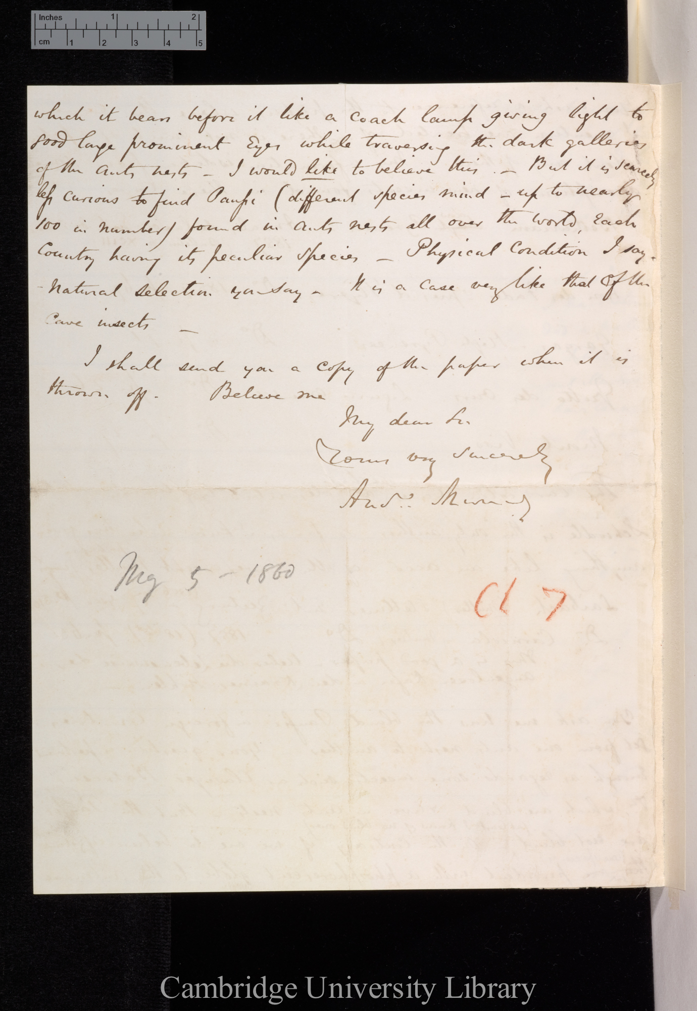 Andrew Murray to Charles Robert Darwin