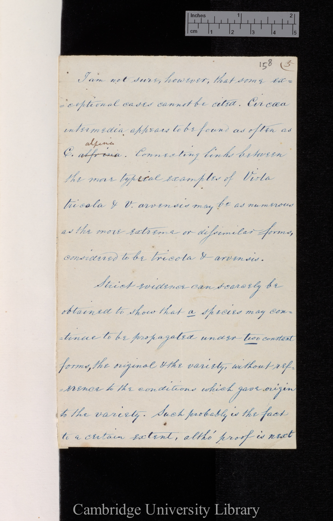 [Hewett Cottrell Watson] to [Sir Joseph Dalton Hooker]