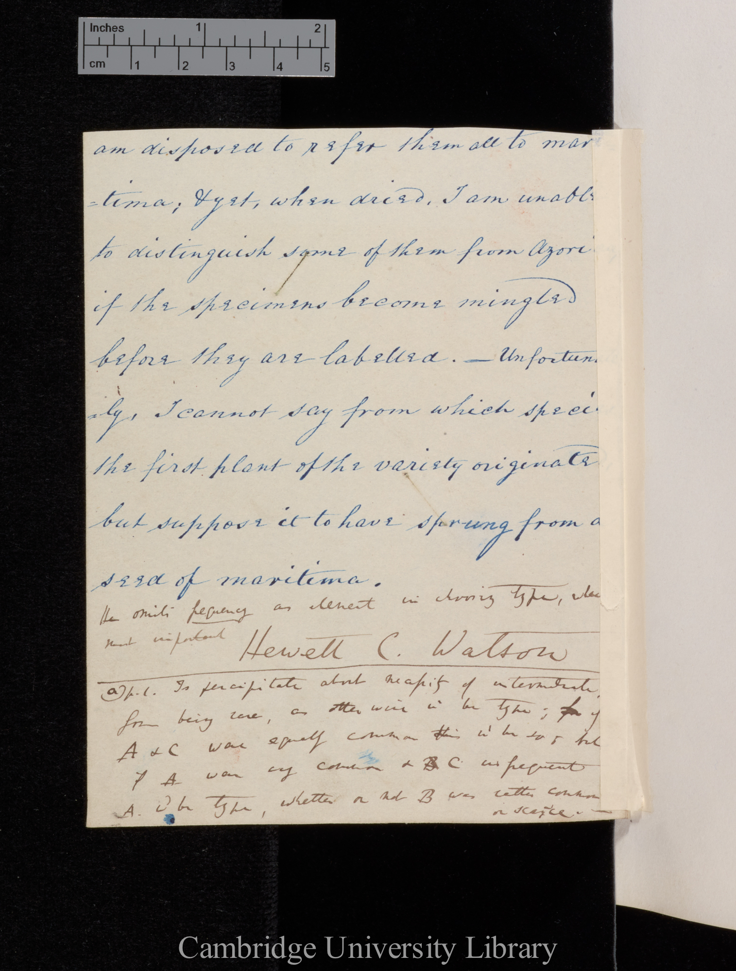 [Hewett Cottrell Watson] to [Sir Joseph Dalton Hooker]