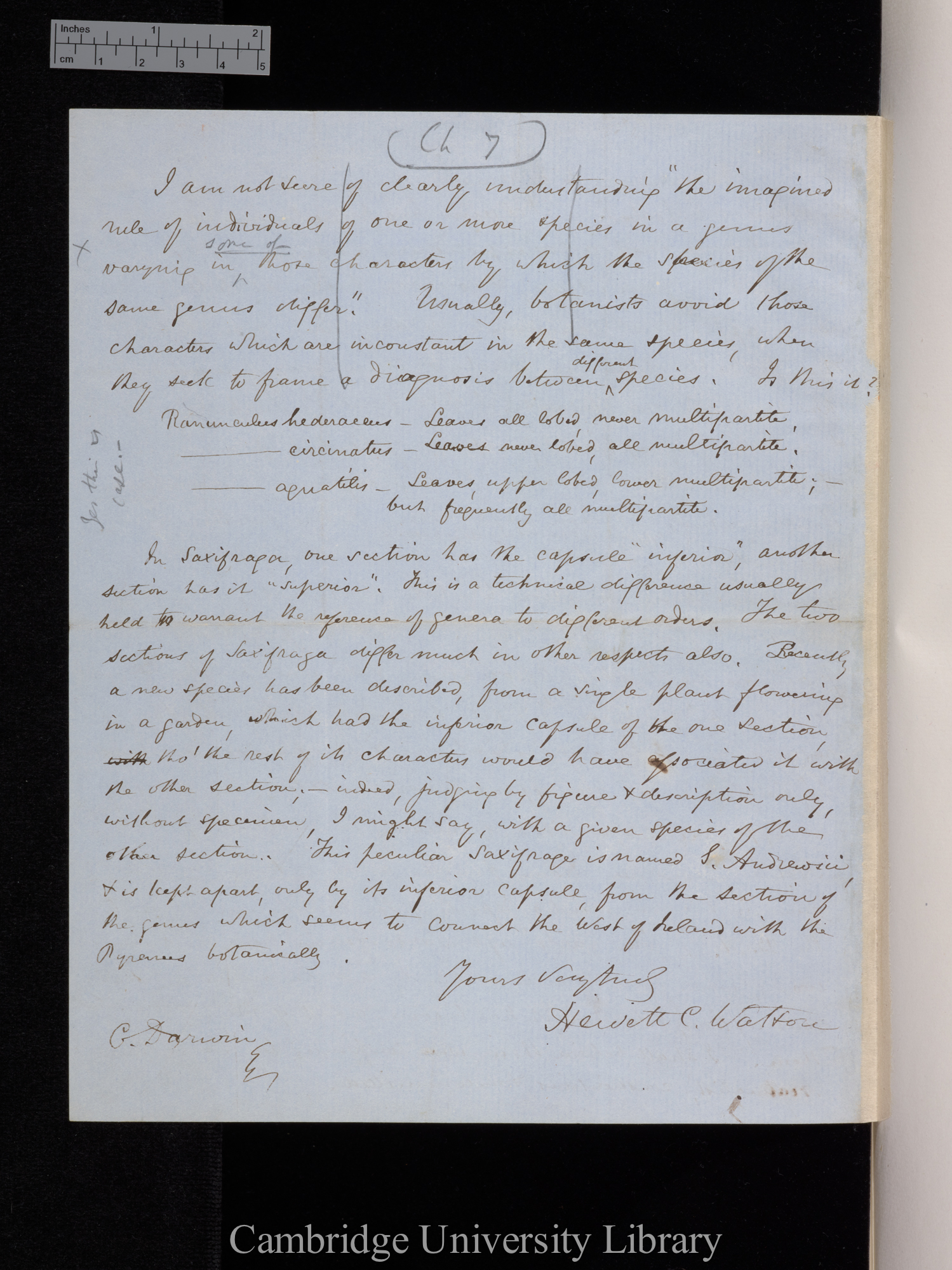 Hewett Cottrell Watson to Charles Robert Darwin