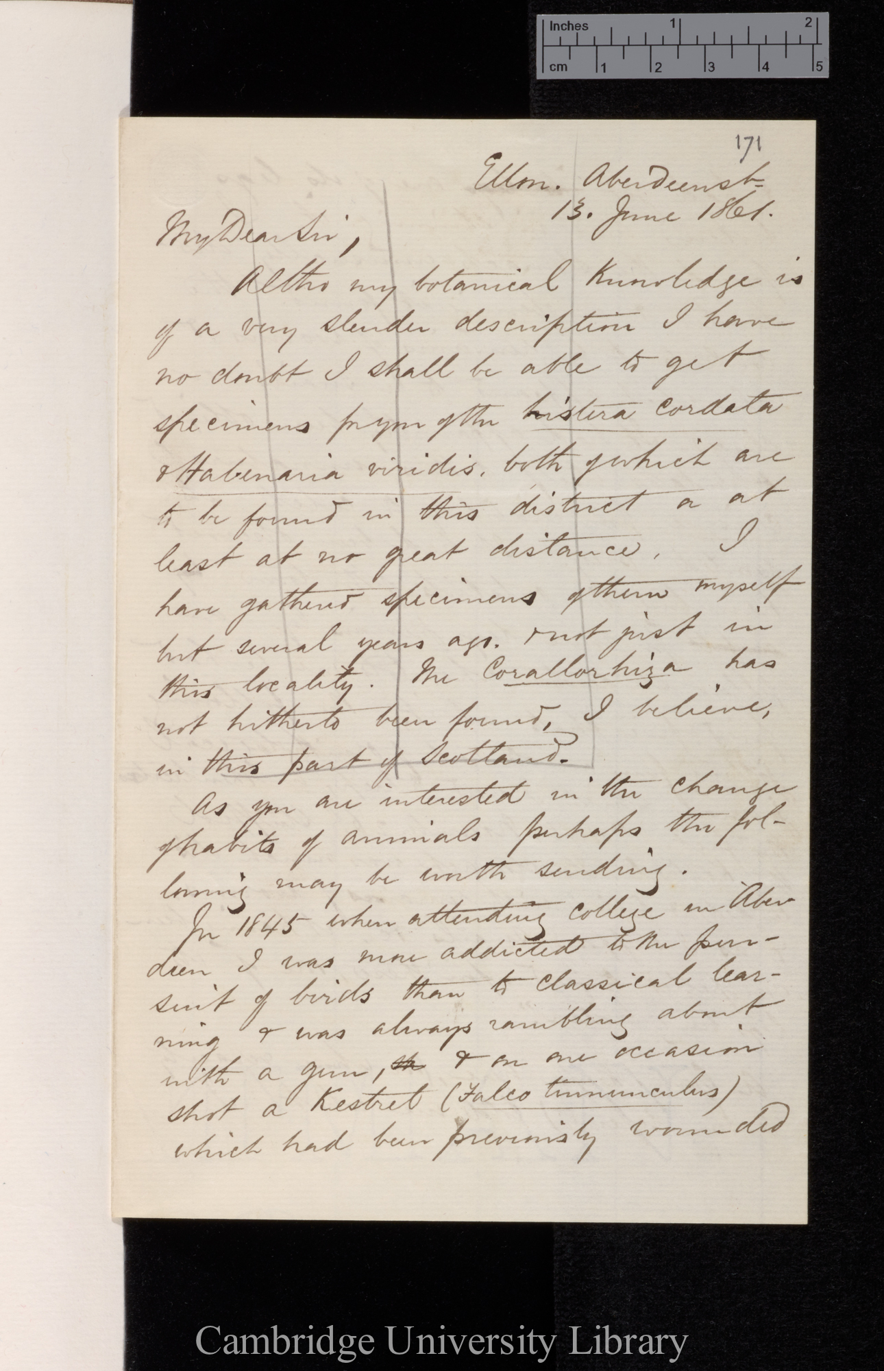 Thomas Francis Jamieson to Charles Robert Darwin