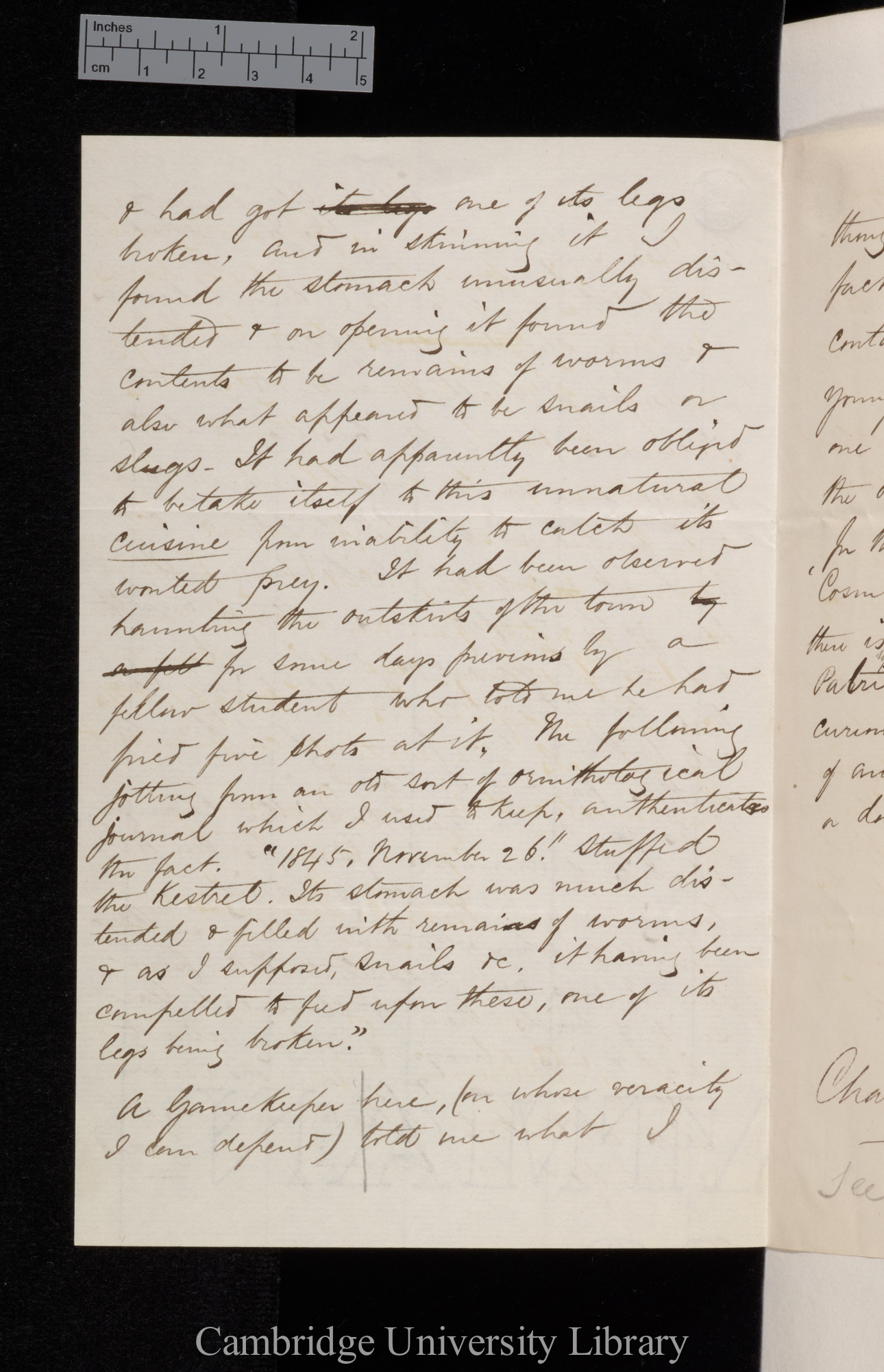 Thomas Francis Jamieson to Charles Robert Darwin