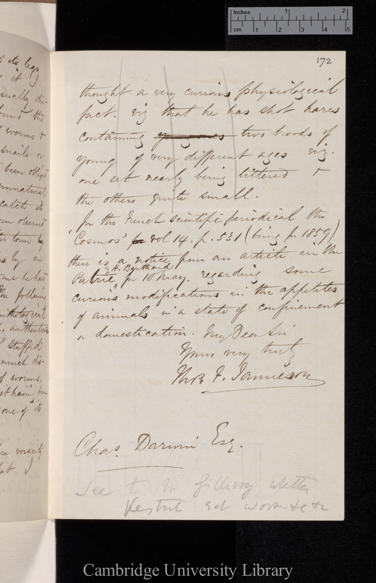 Thomas Francis Jamieson to Charles Robert Darwin