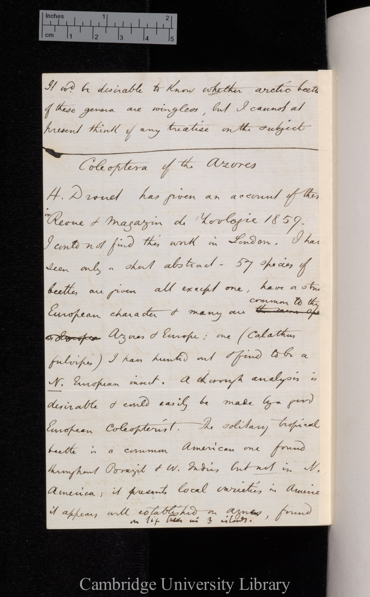 Henry Walter Bates to Charles Robert Darwin